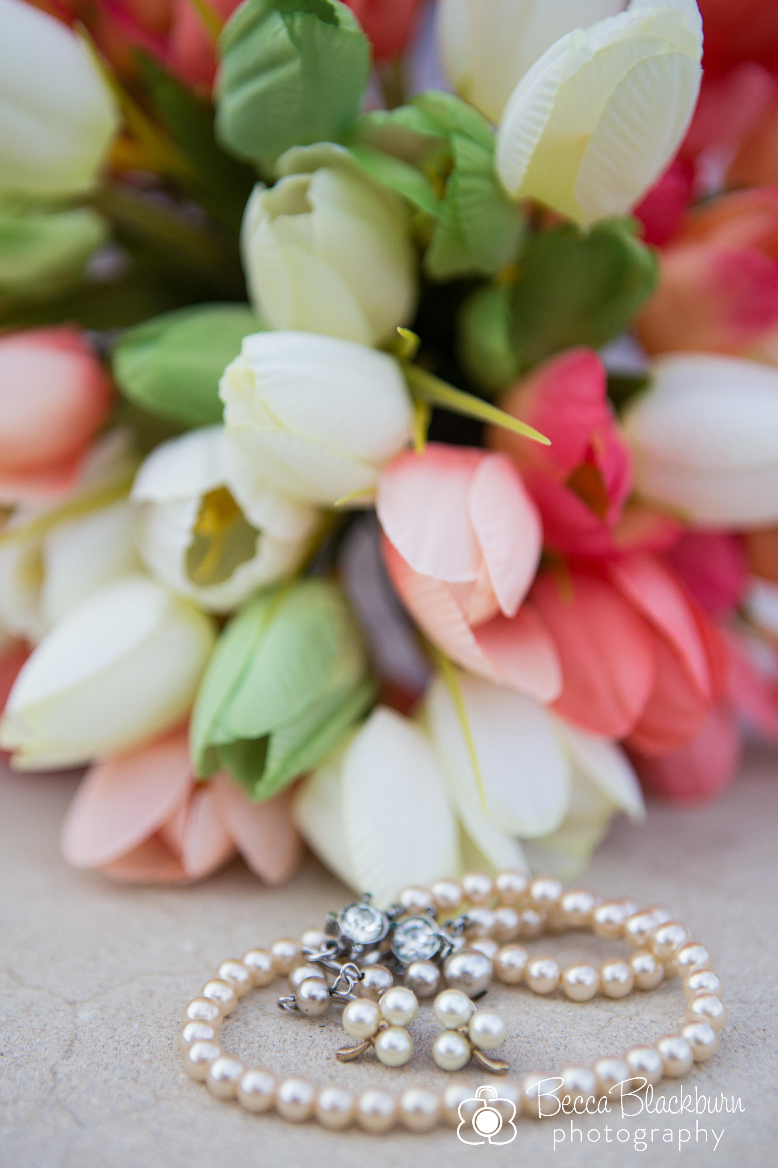 SC.blog-5.jpg