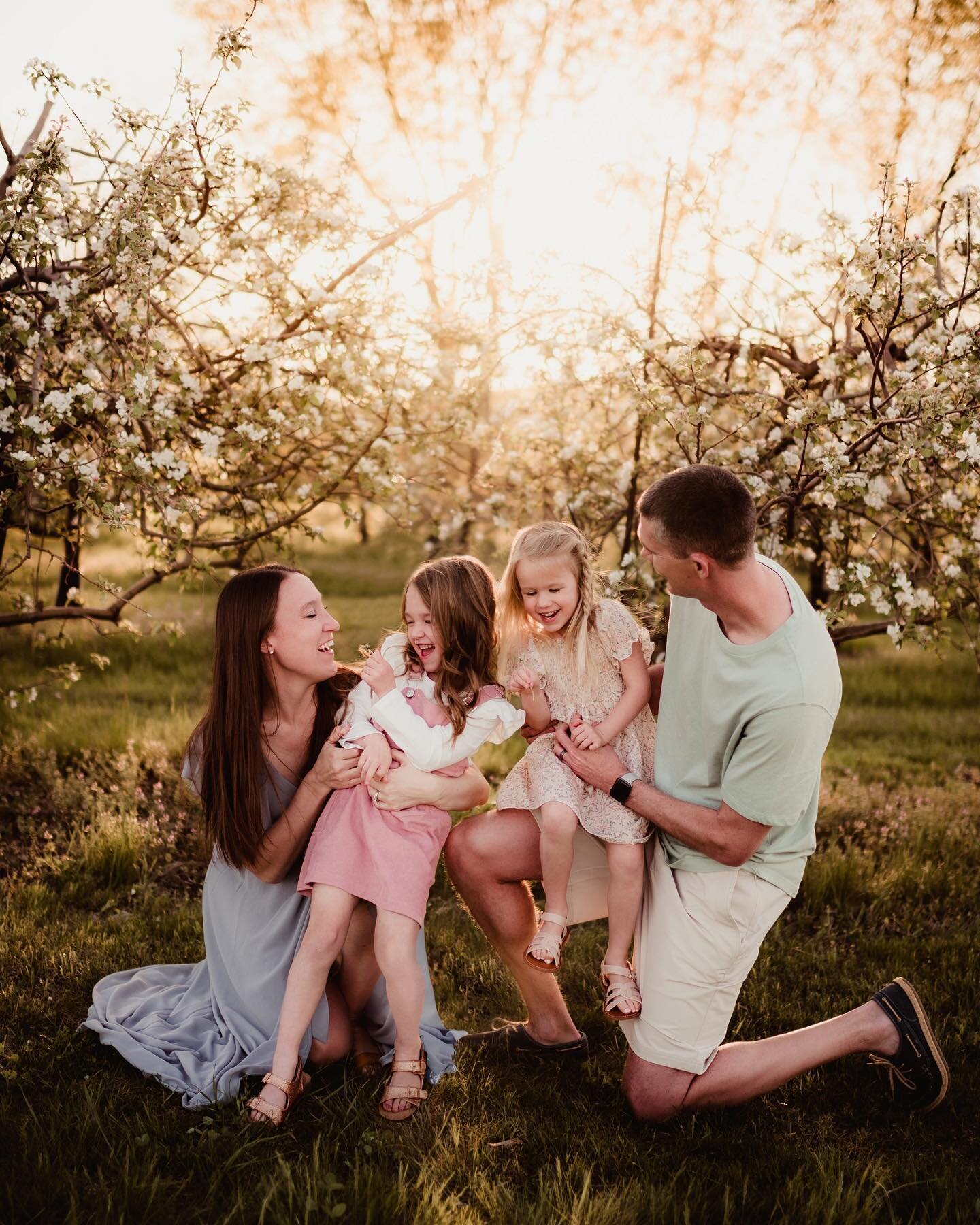 A beautiful family, beautiful apple blossoms and the perfect spring weather made for an amazing session! ✨