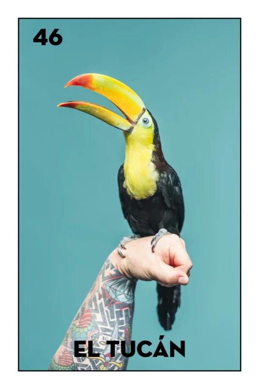 46 El Toucan