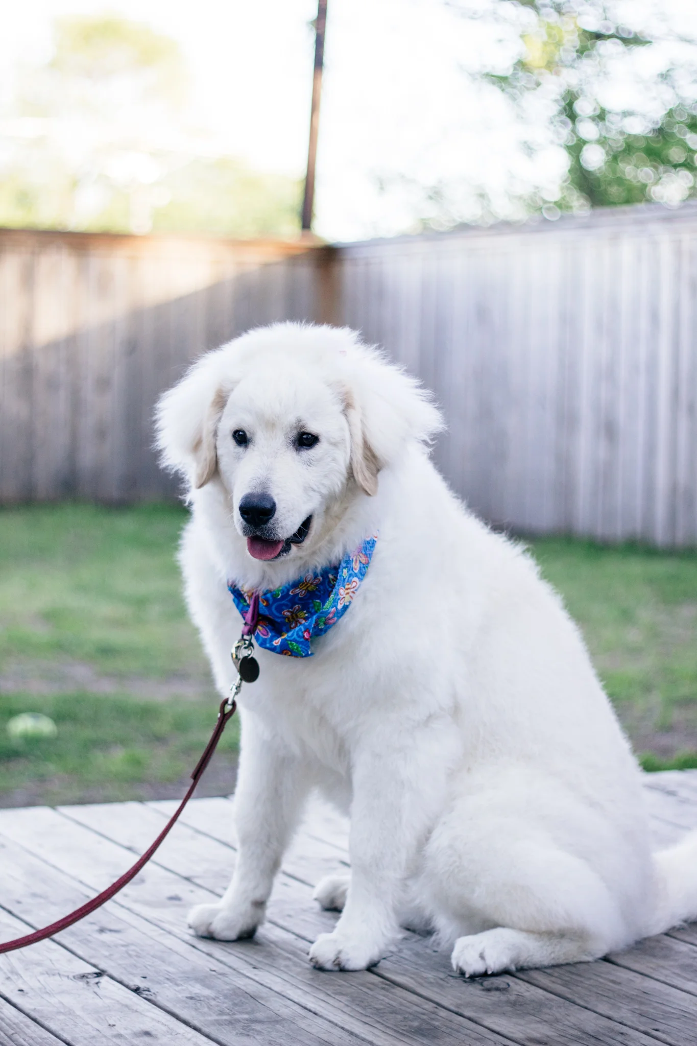 Saoirse - 6 months