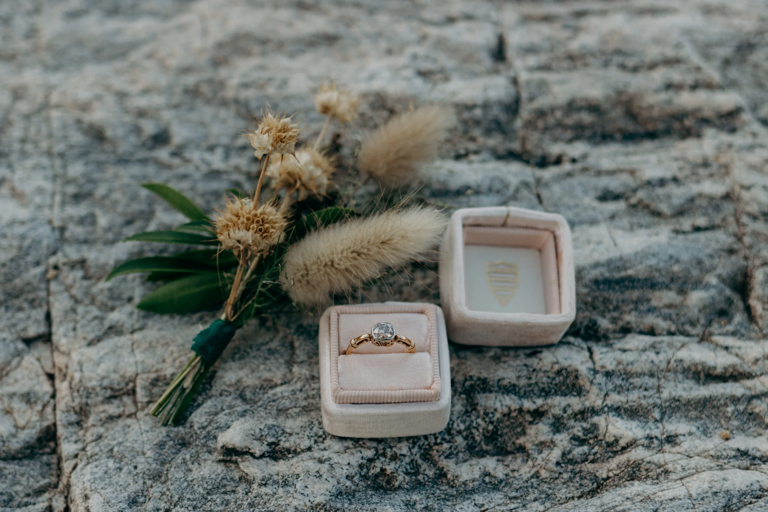 2017CultivateWorkshopJoshuaTreeMarissaSimpsonPhotography-12-s.jpg