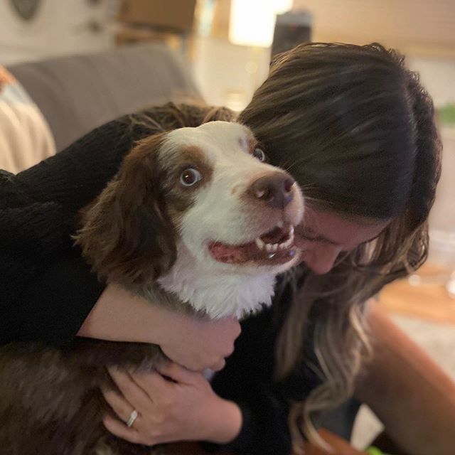 My guy 🥰🐶
.
.
.
.
.
.
.
.
.
.
.
.
.
.
#chance #chanceyboy #babyboy #miniaussie #australianshepherd #redmerle #redmerleaussie #aussie #aussies #mini #miniaustralianshepherd