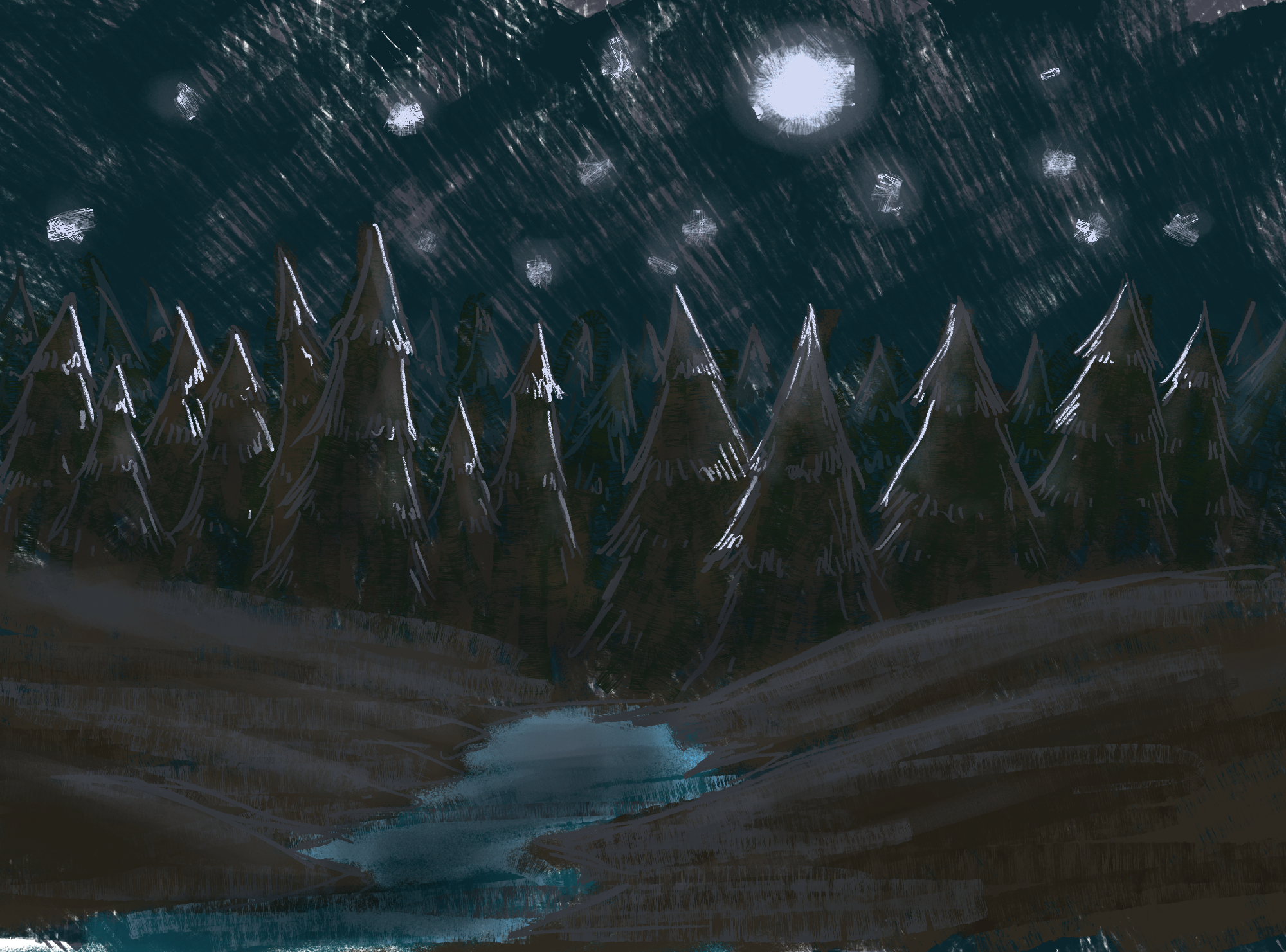 forest night