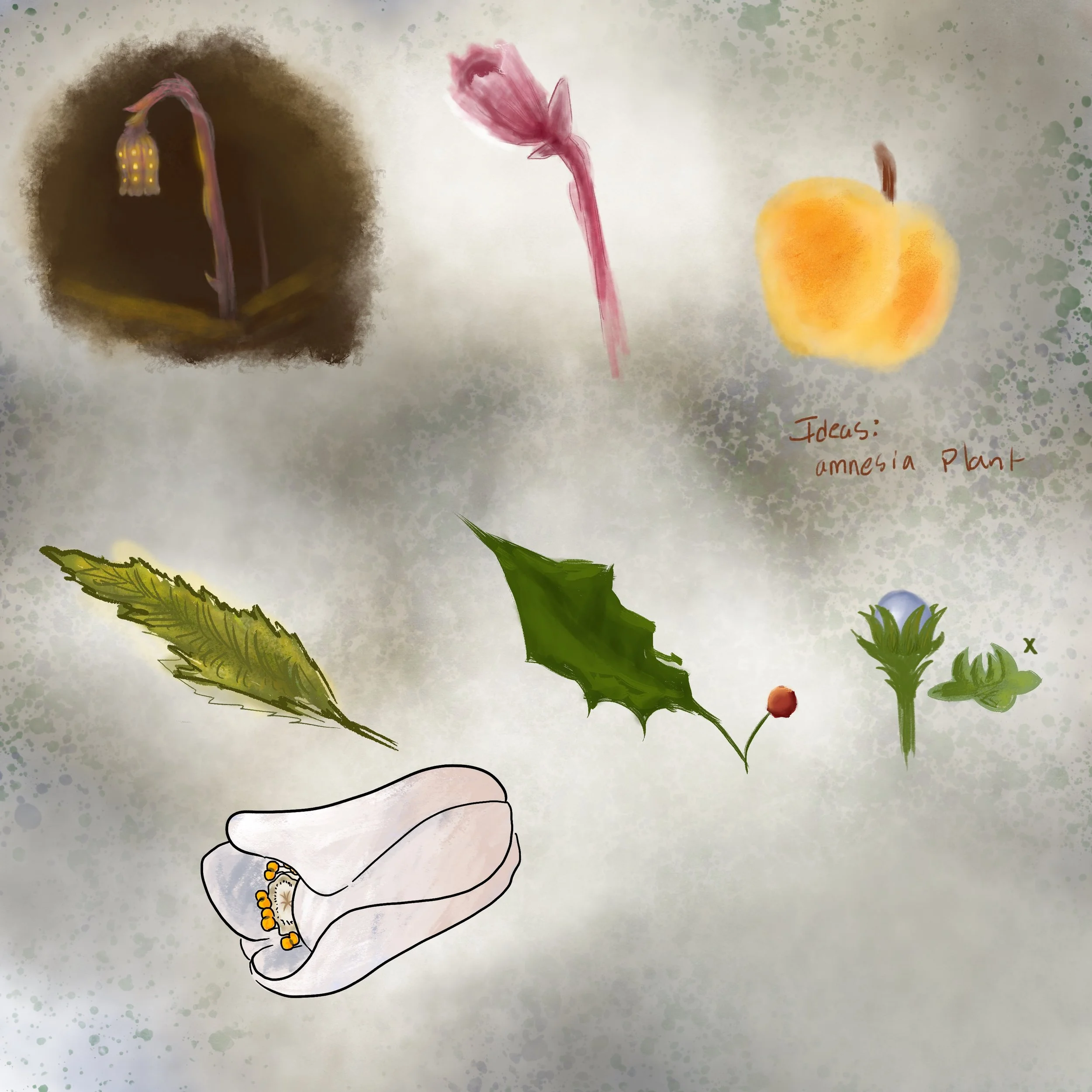 plant practice