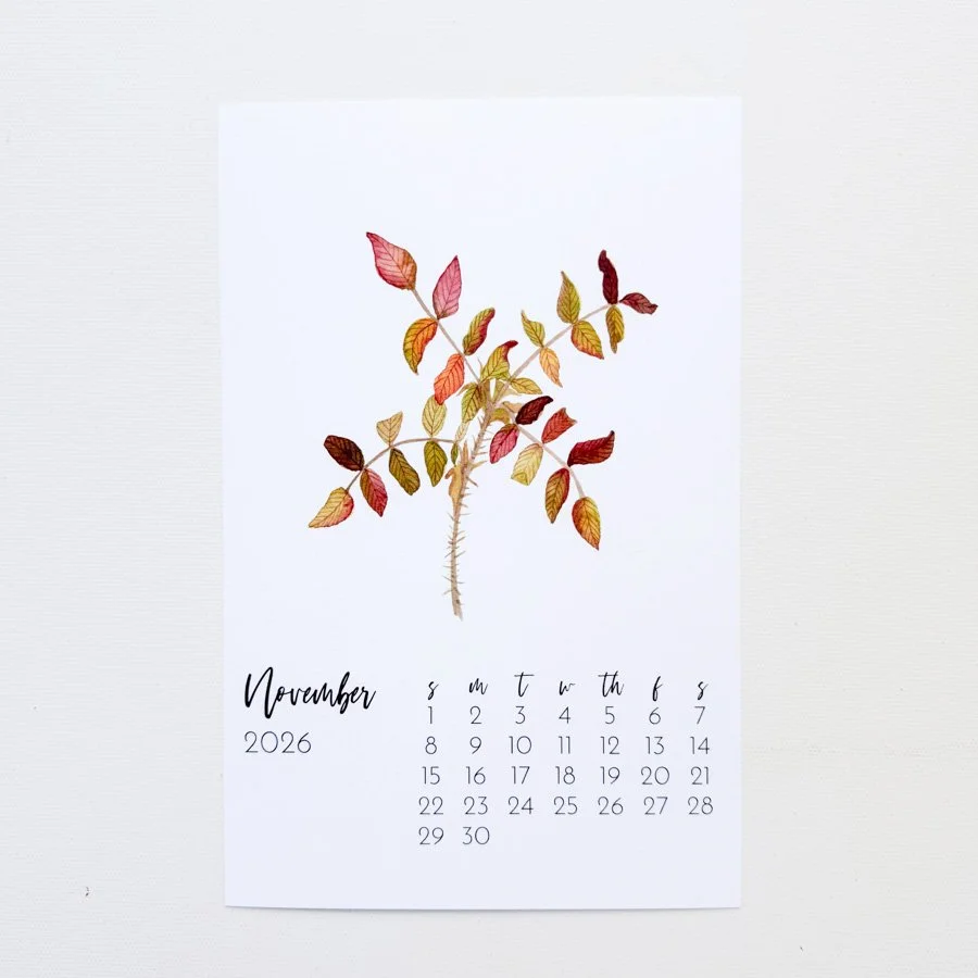 2026 Calendar AB November.jpg