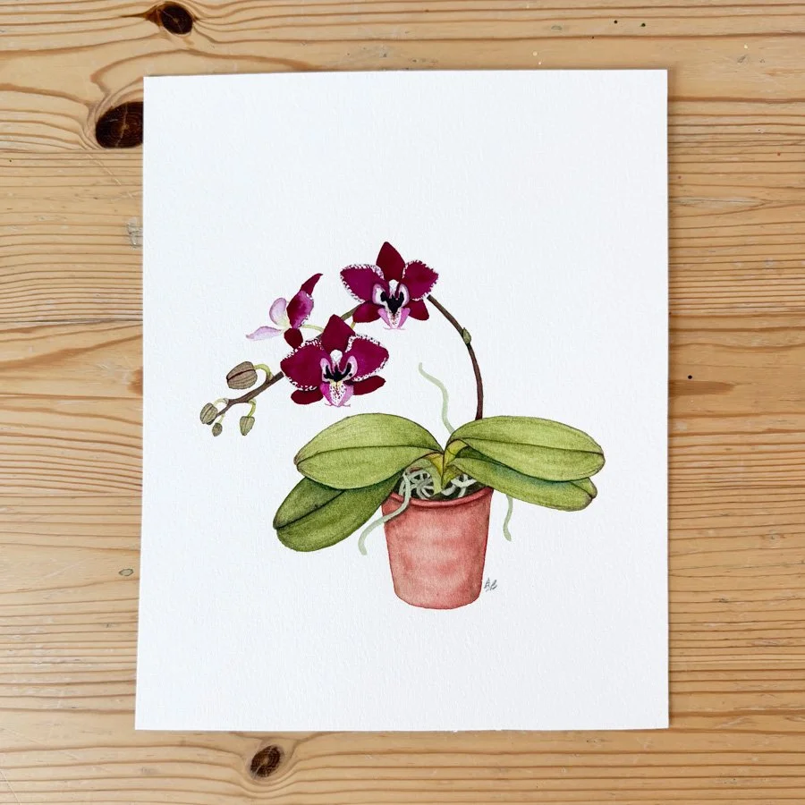Orchid Painting.jpg