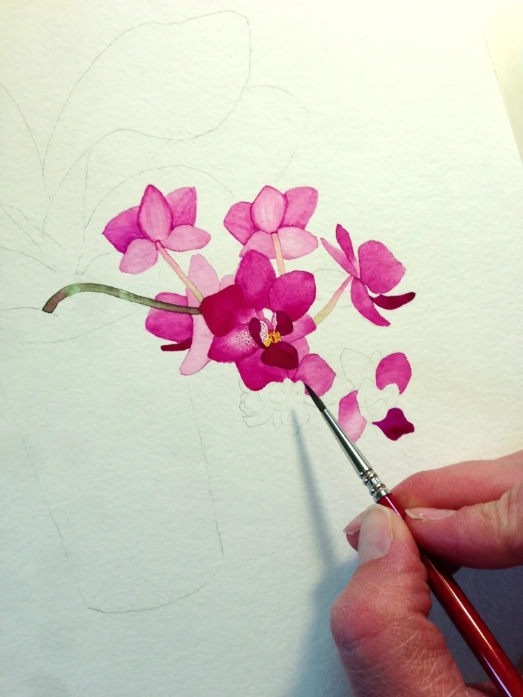 Purple Orchid Flowers in Progress by Anne Butera.jpg