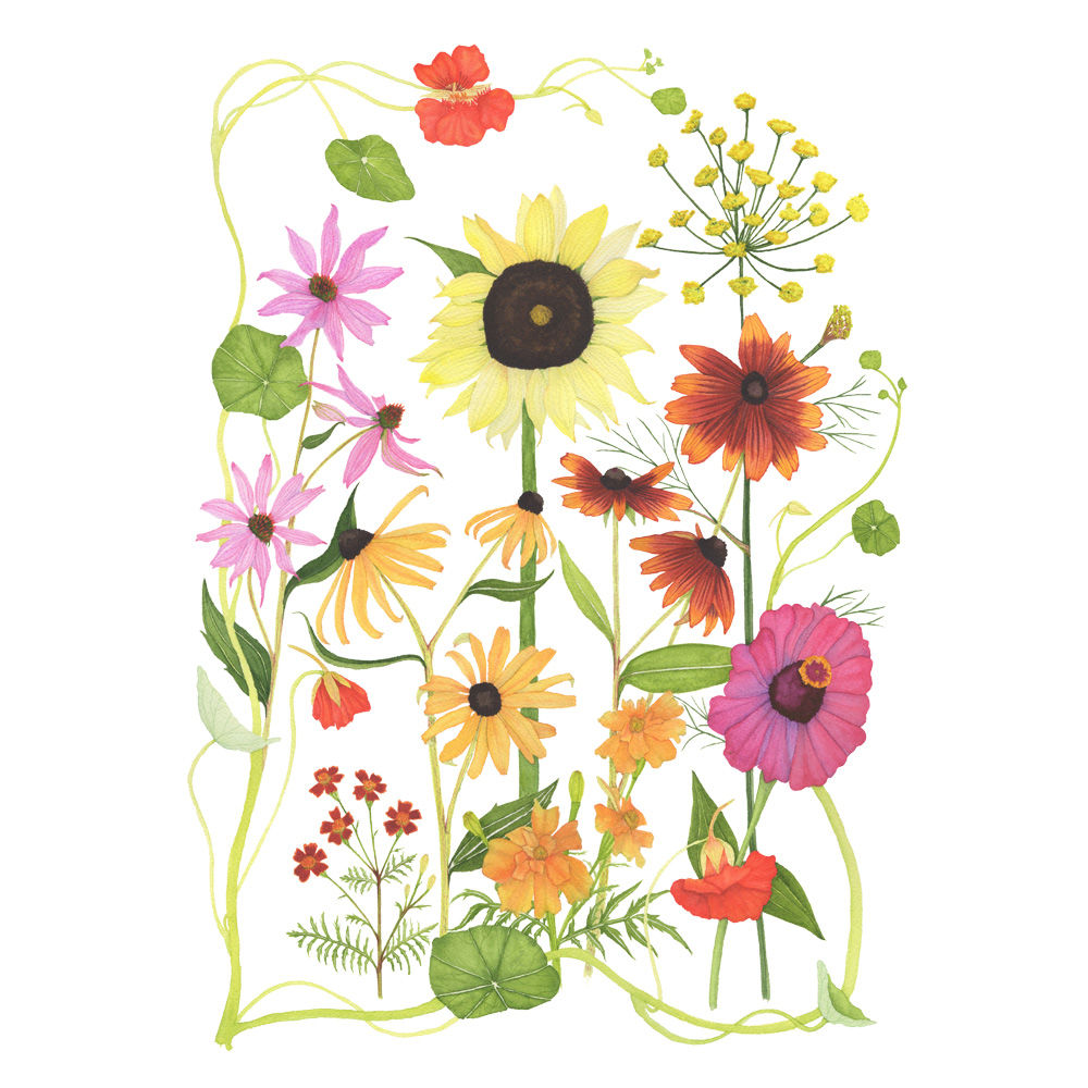 Summer Flowers for Gallery.jpg
