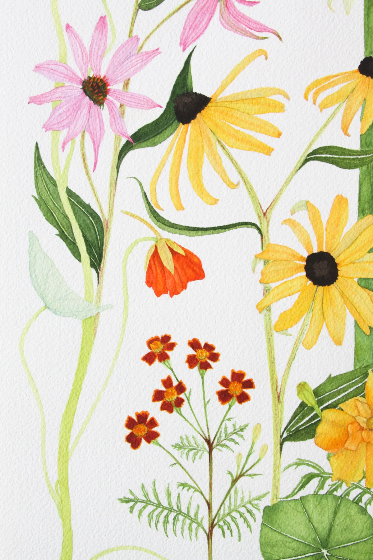 Summer Flowers 1.jpg