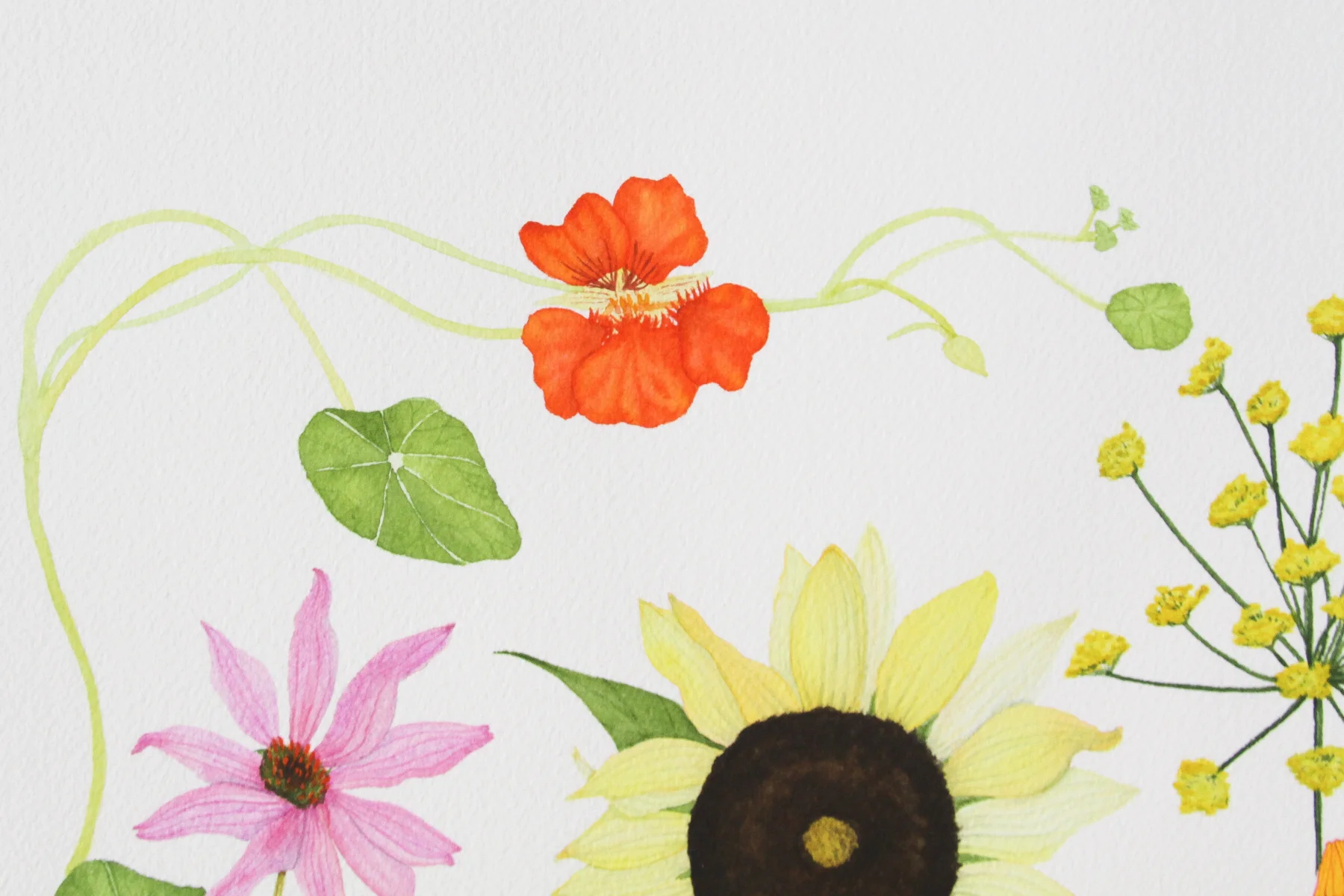 Summer Flowers 6.jpg