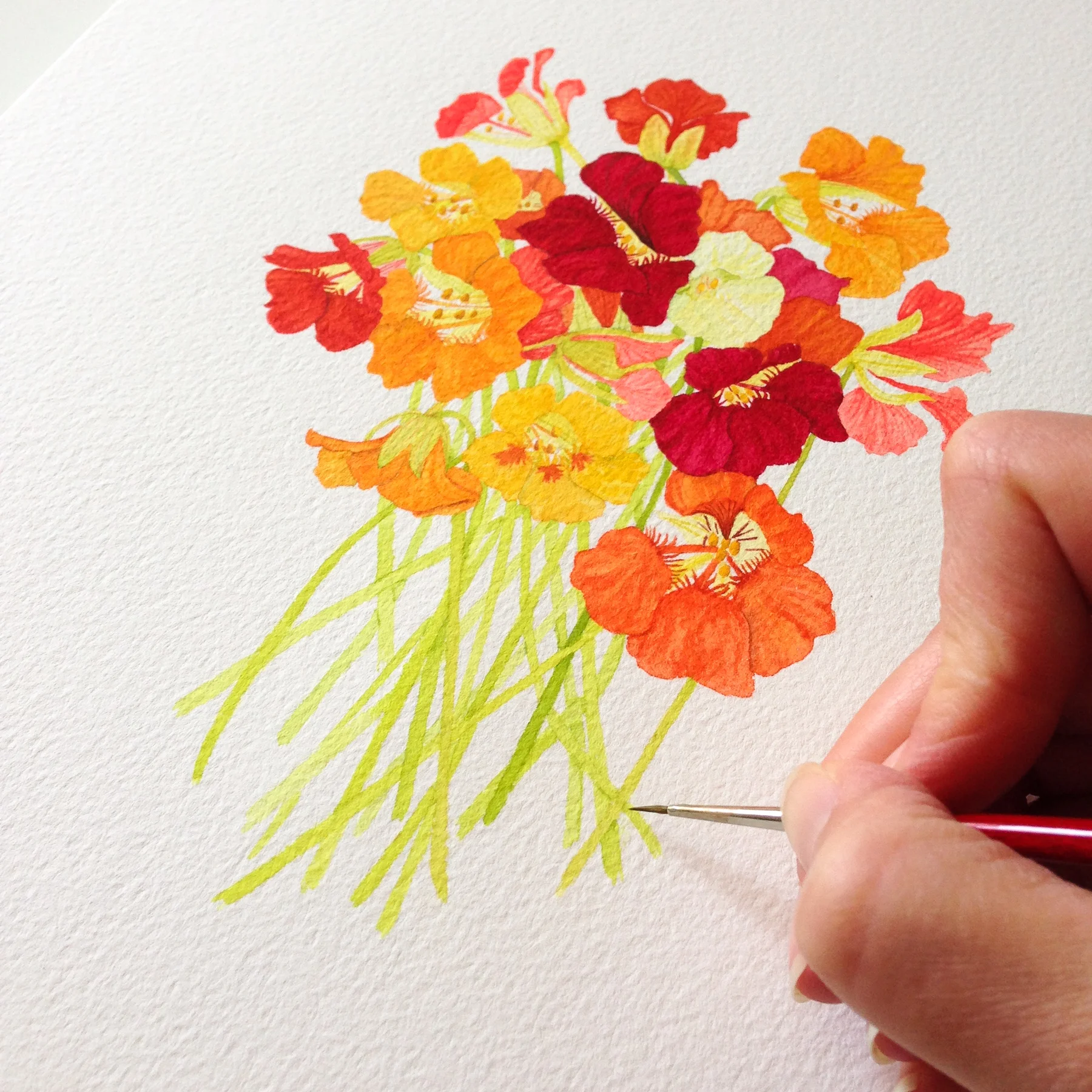 Nasturtium Bouquet by Anne Butera of My Giant Strawberry 2.jpg