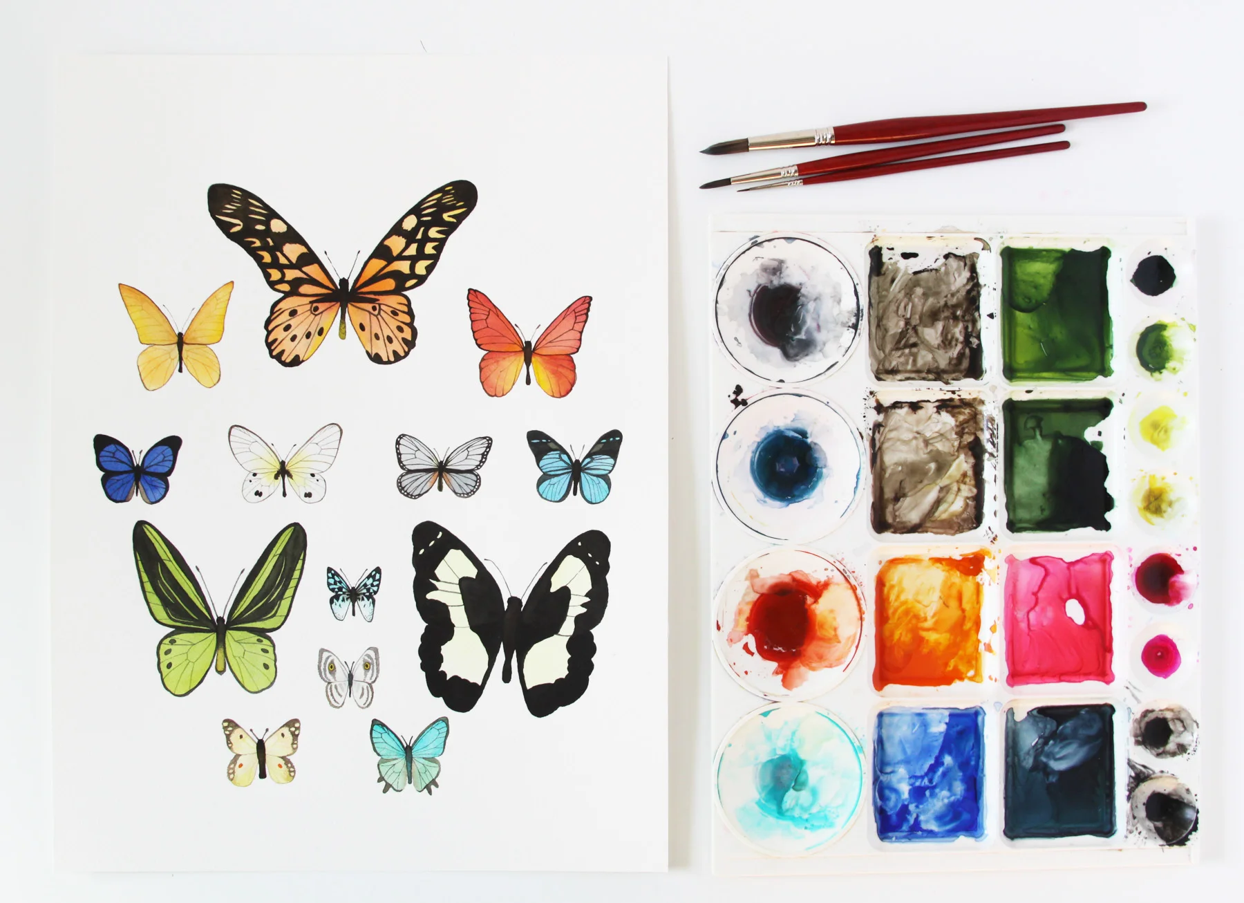 Butterfly 2 collection 1.jpg