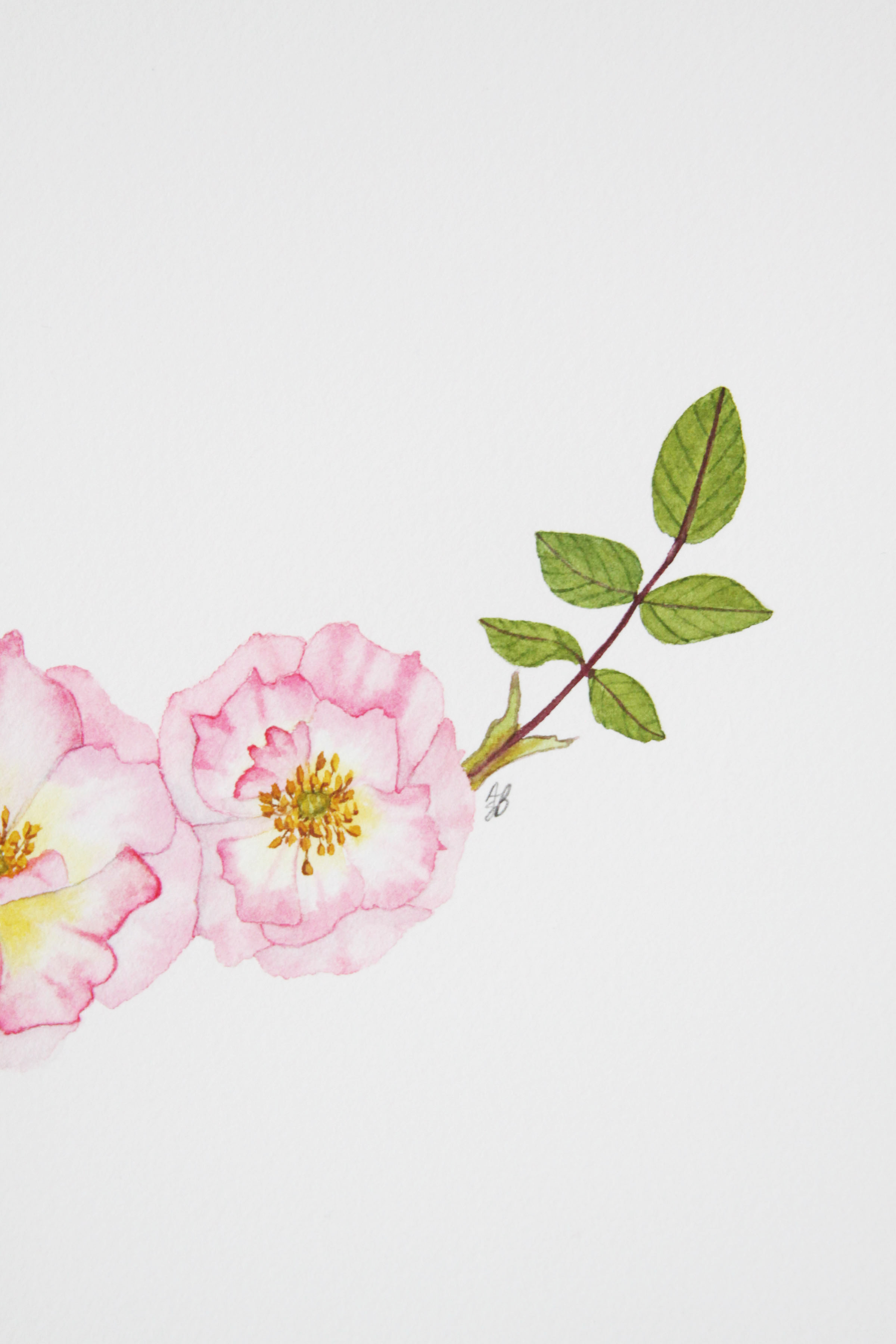 Rose Wreath 4.jpg