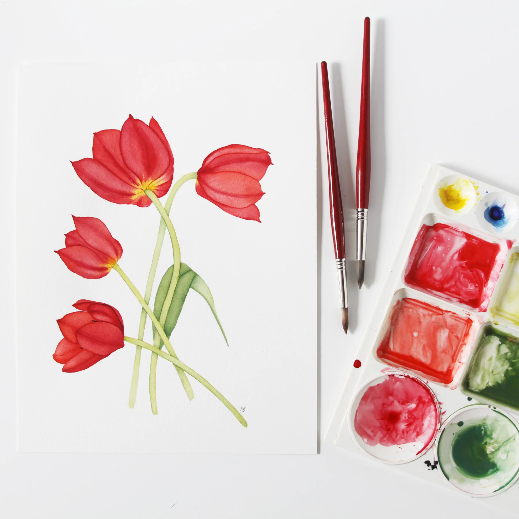 Tulips 5.jpg