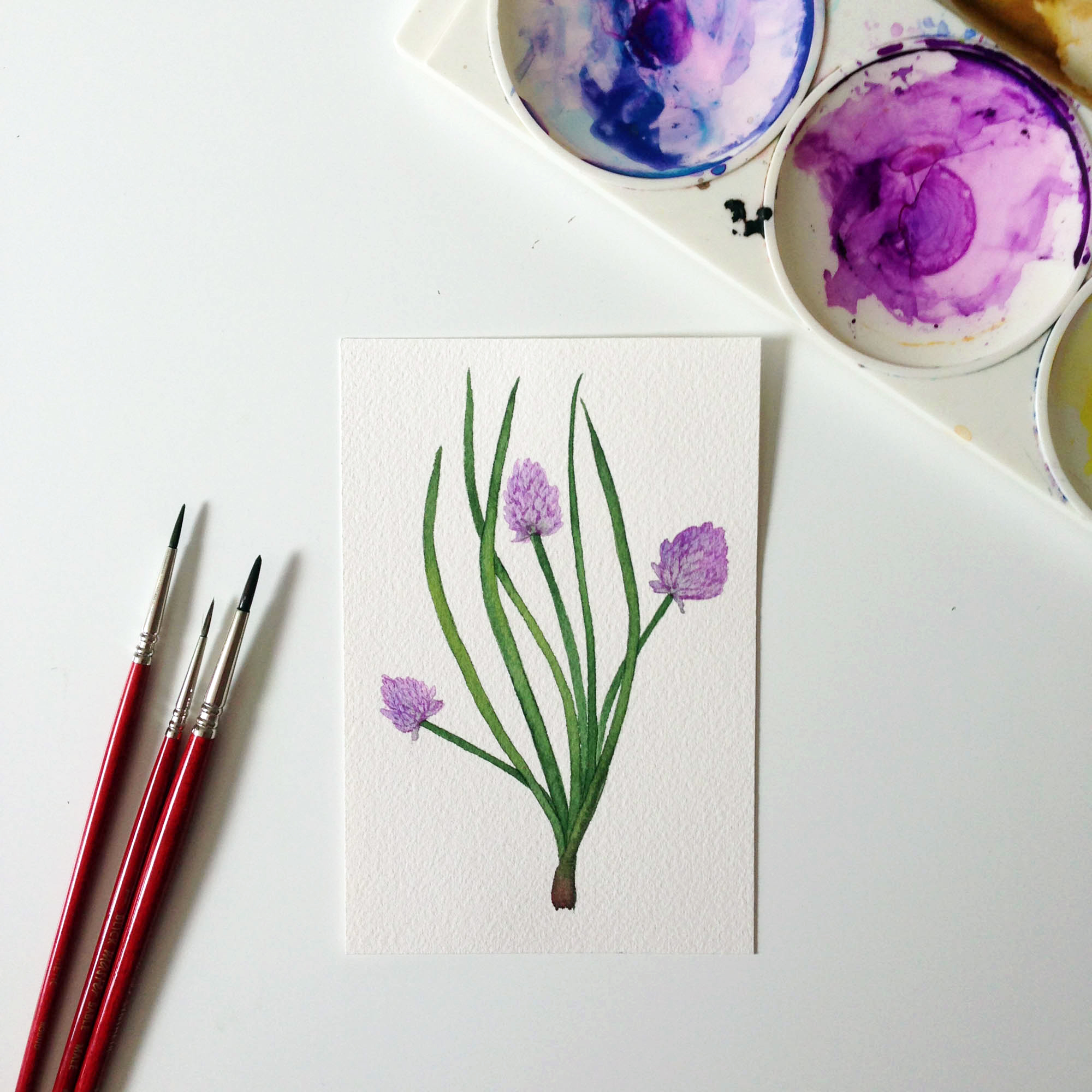 chives 2.jpg