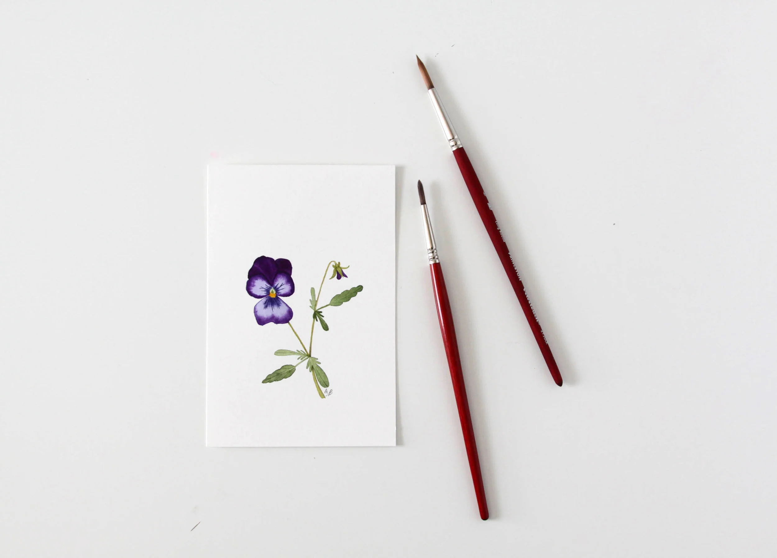 little viola 2.jpg
