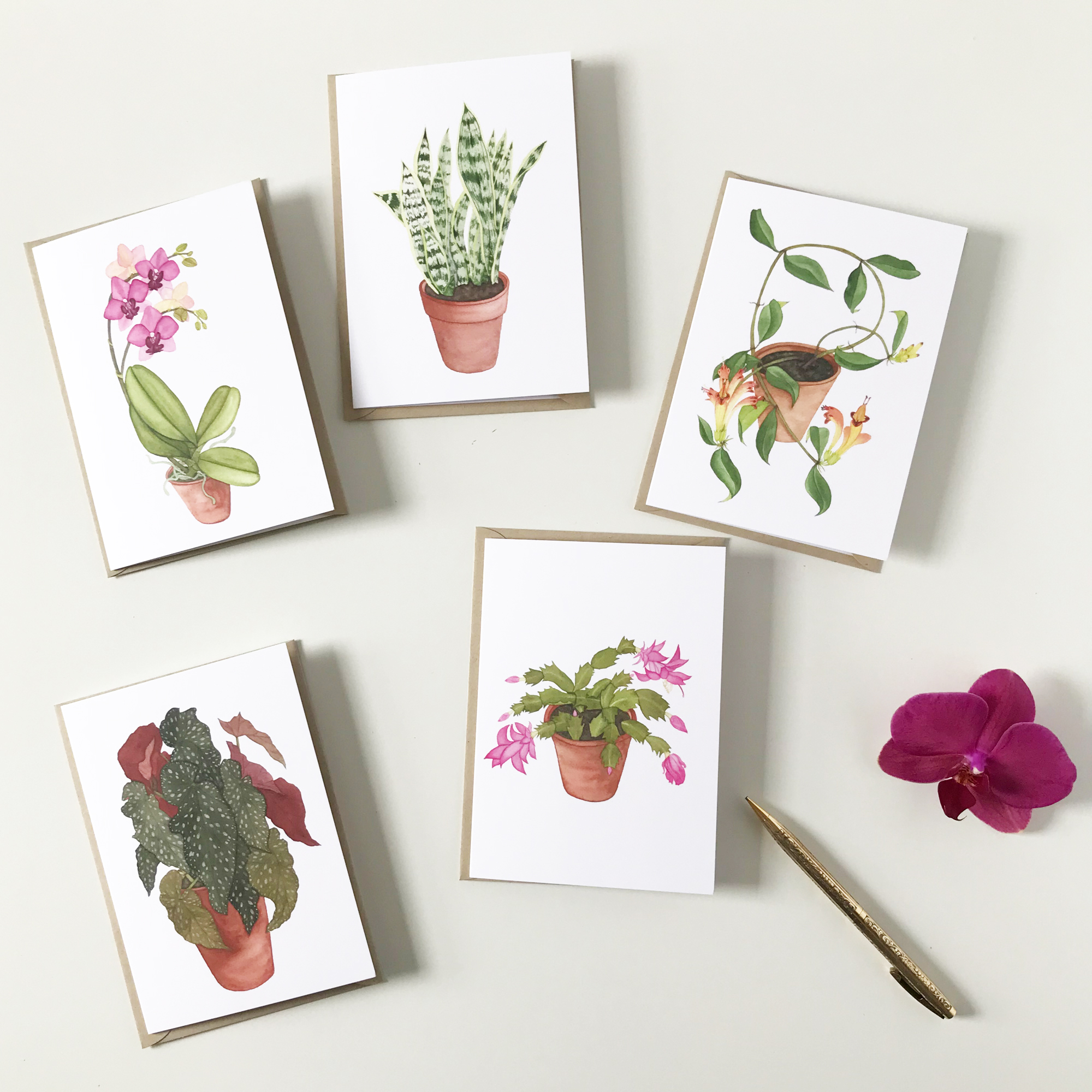 Houseplant Cards 2.jpg