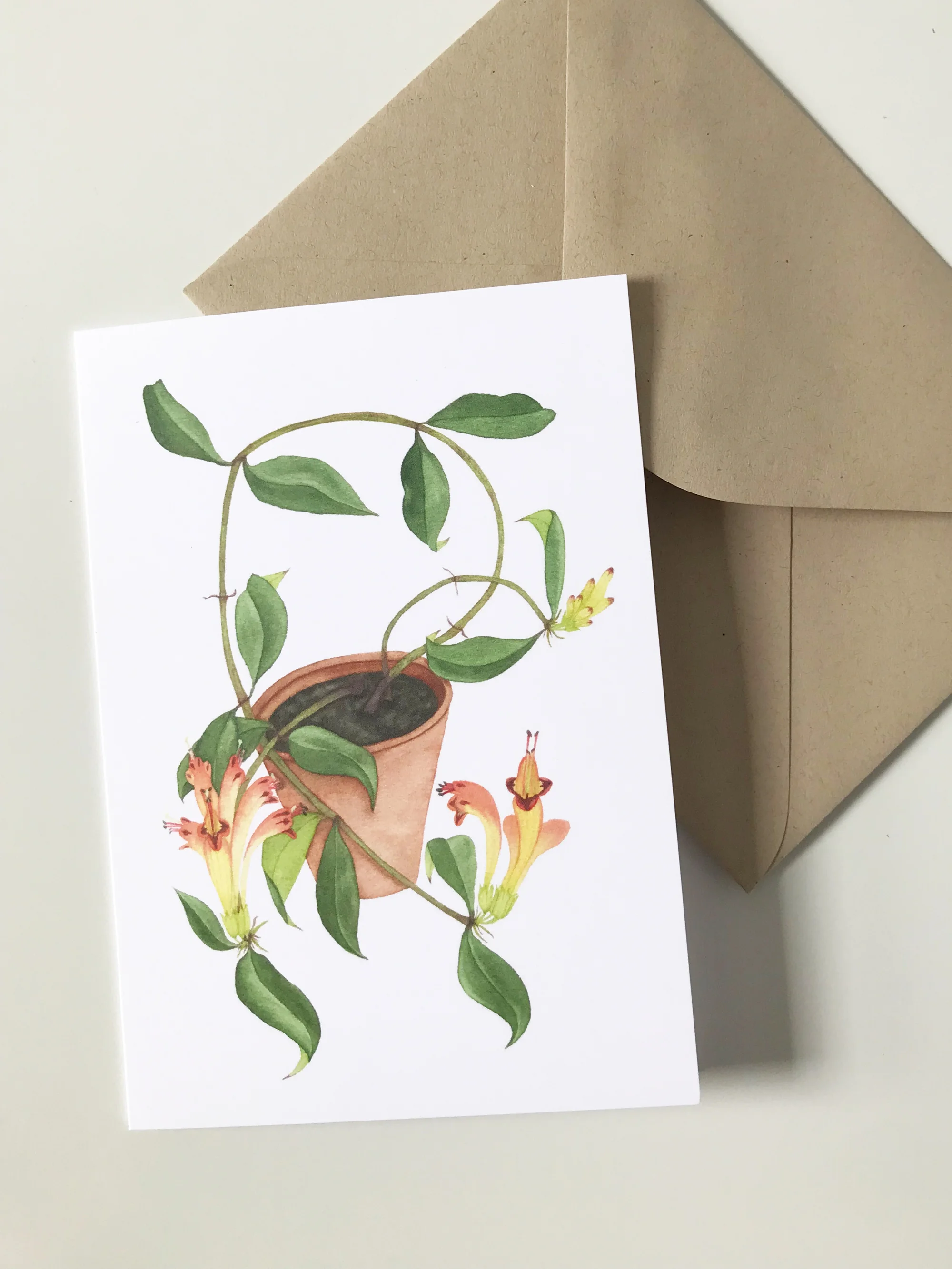 Houseplant Cards Lipstick Plant.jpg