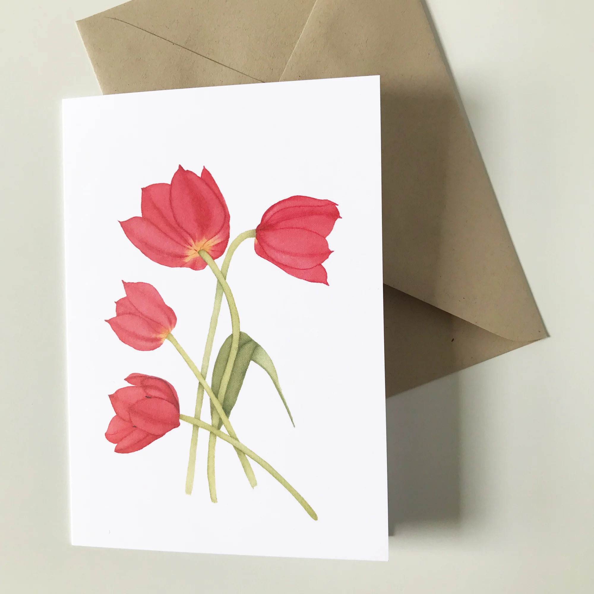 Tulips.jpg