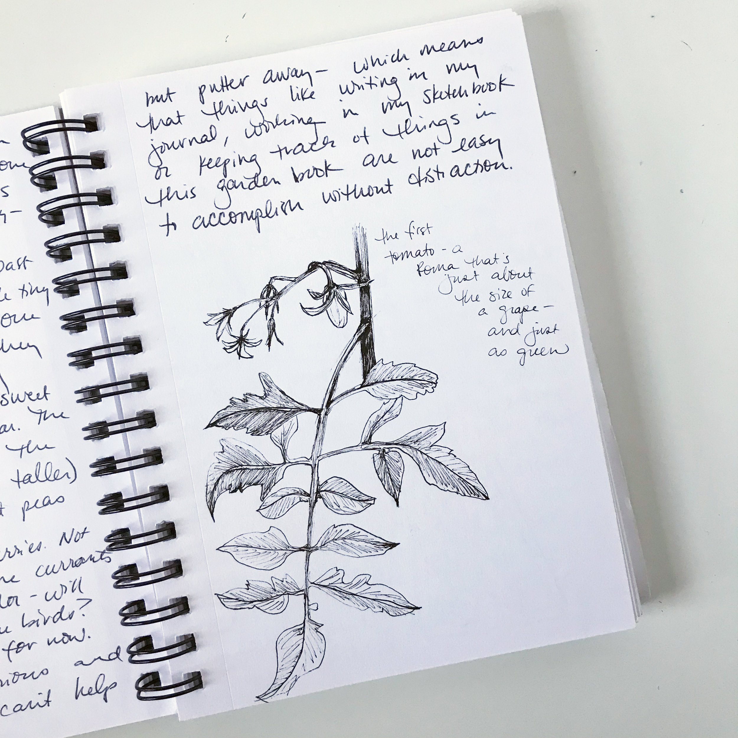 Sketchbooks, Fear and Letting Go — My Giant Strawberry: Creative