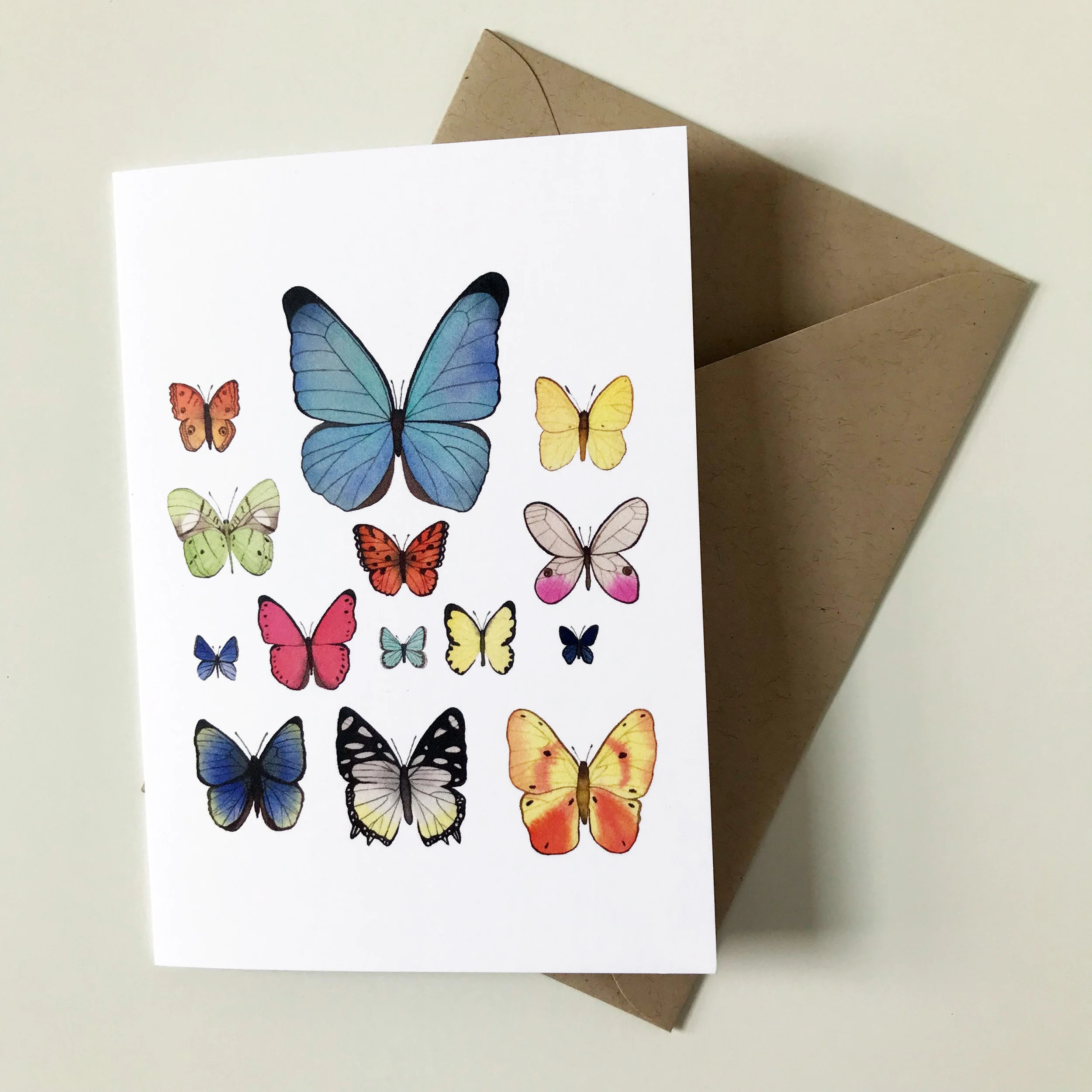 Butterfly Set 3.jpg