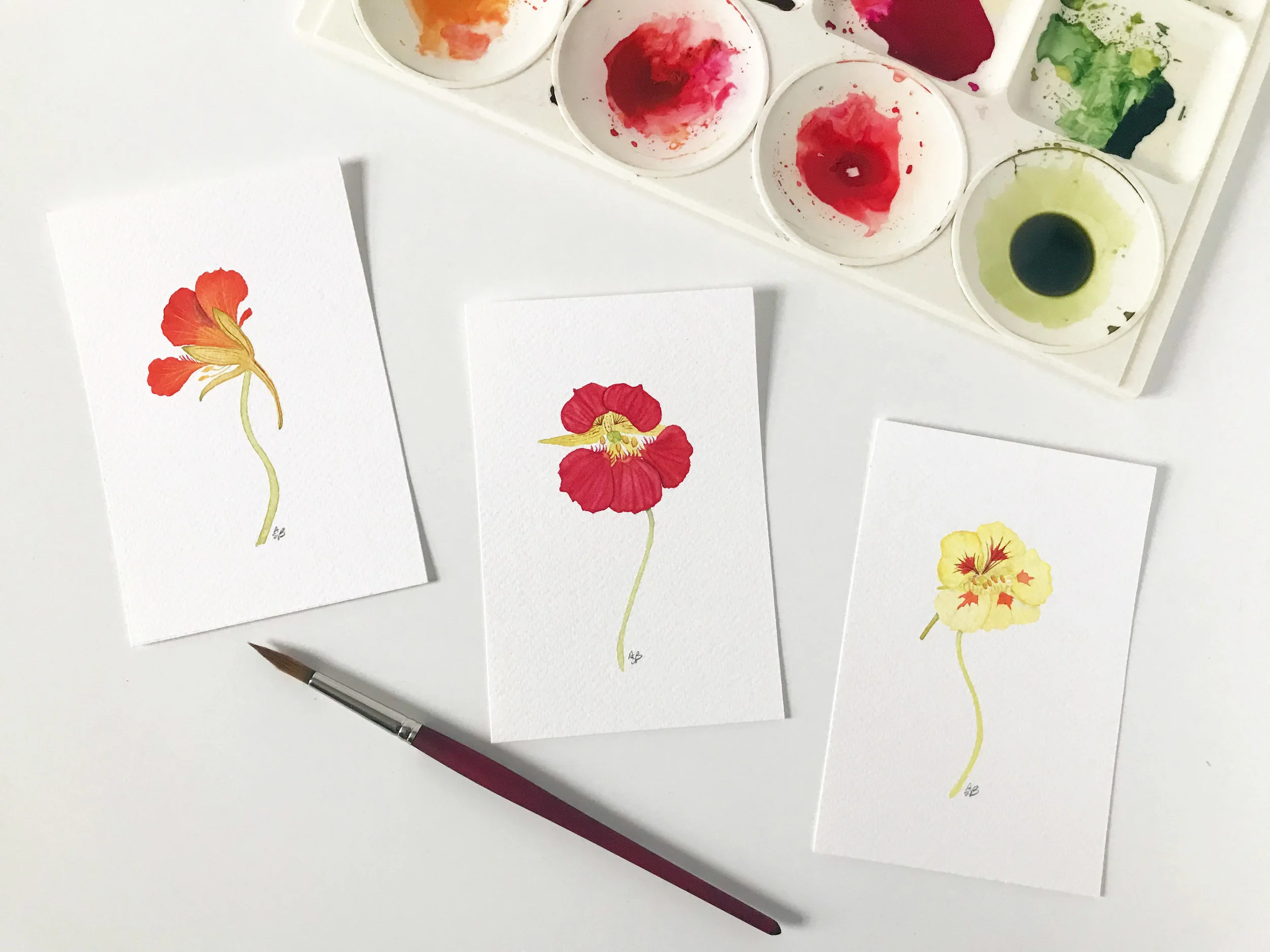 Three Nasturtium Paintings.jpg