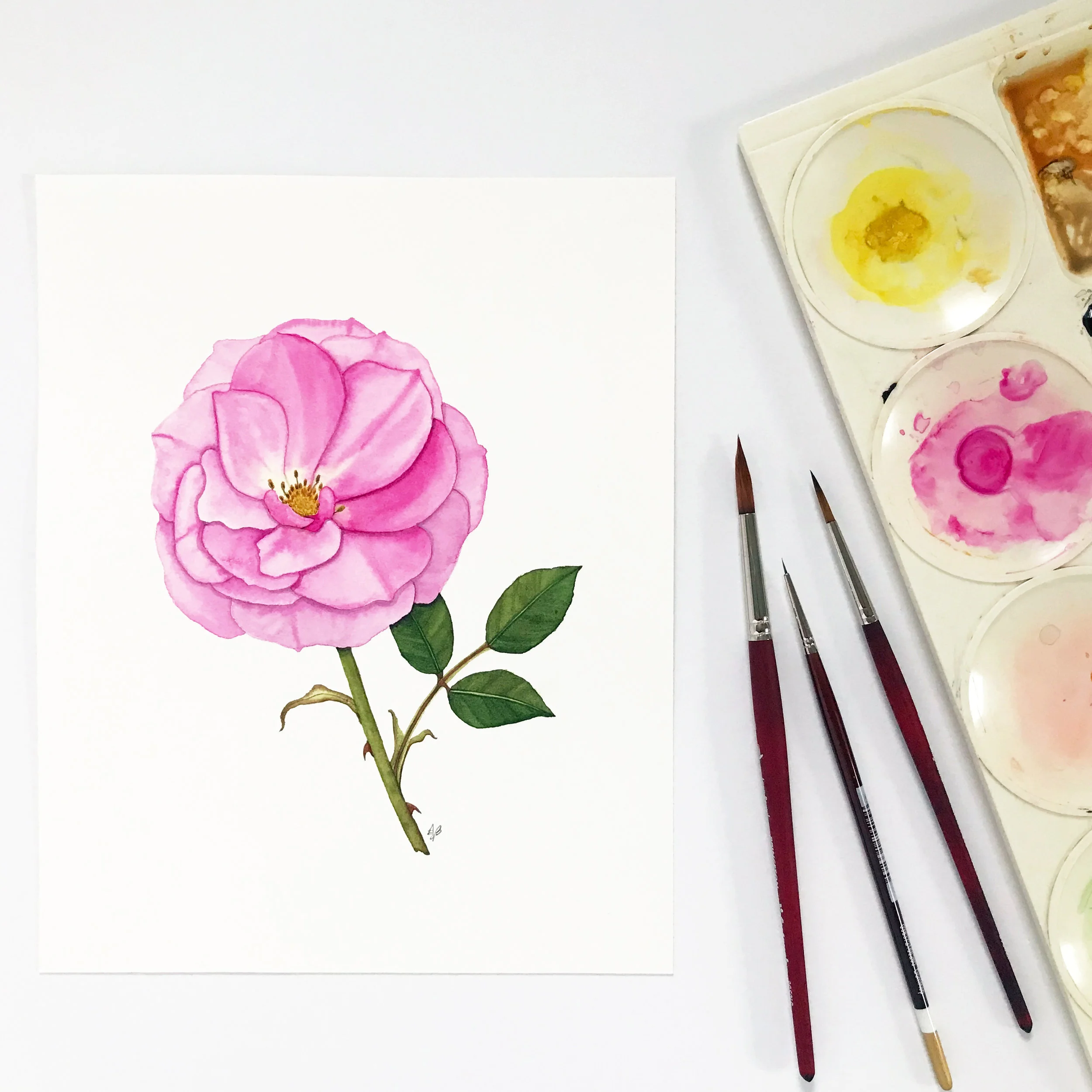 Pink Rose Garden Painting