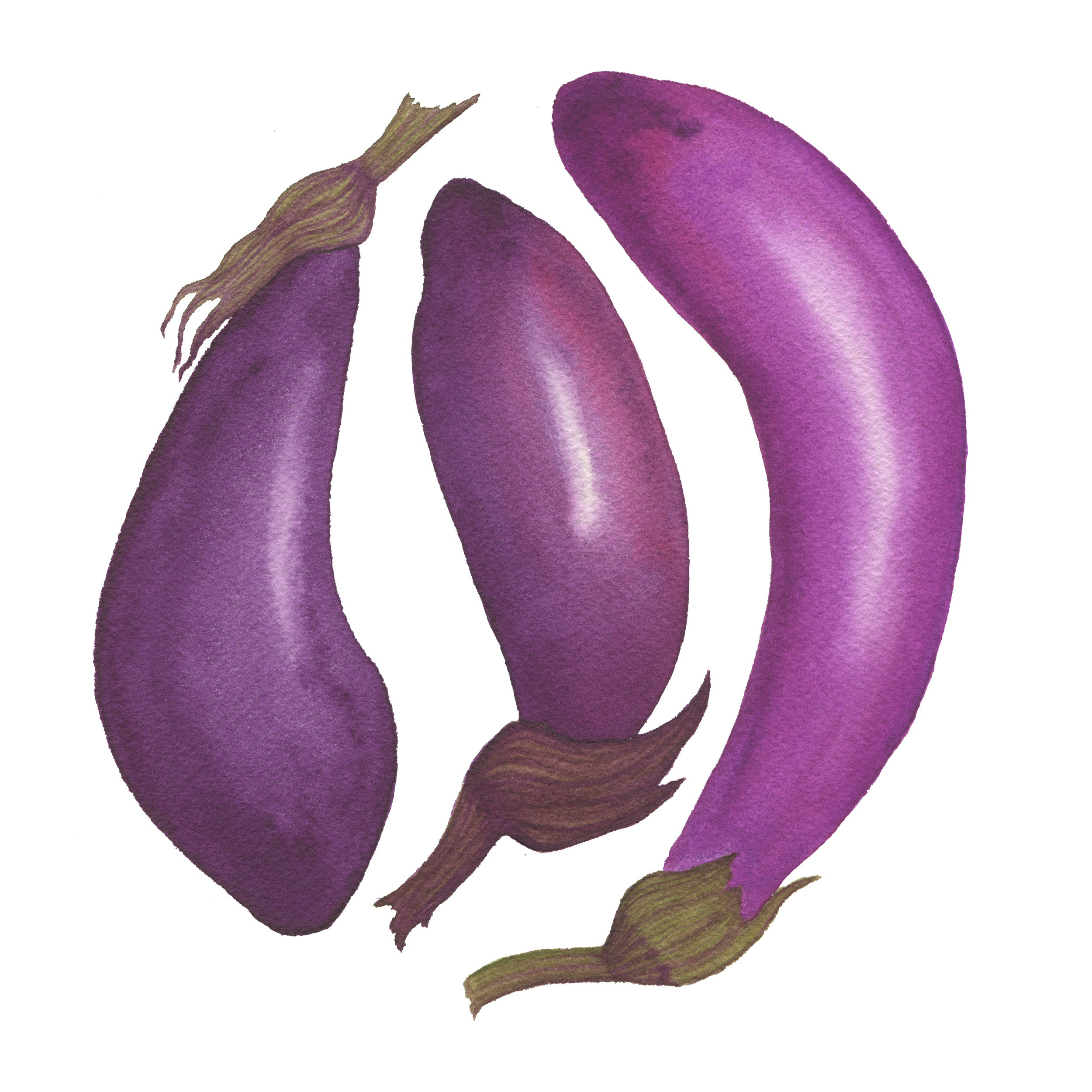 Three Eggplants