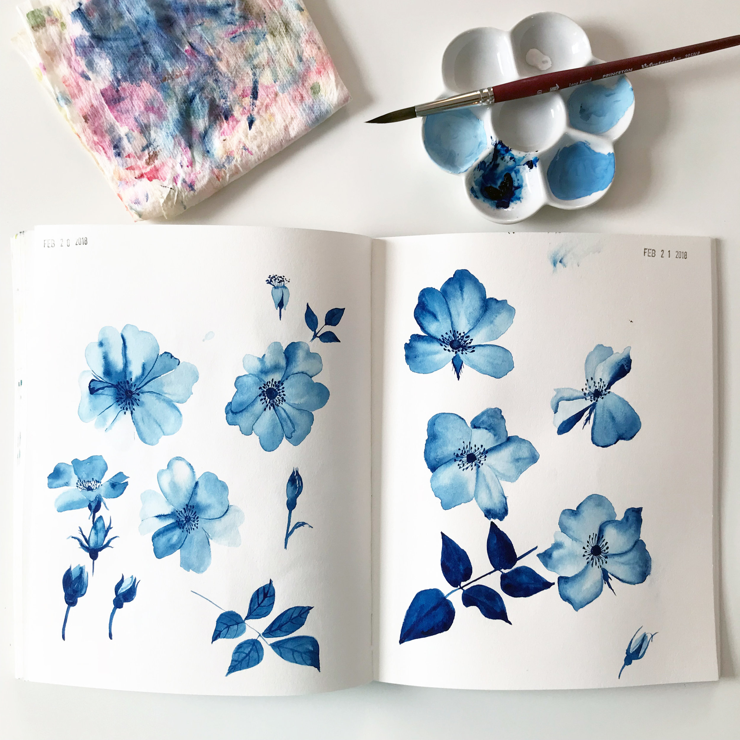 Prussian Blue Gouache Roses in Anne Butera's Sketchbook