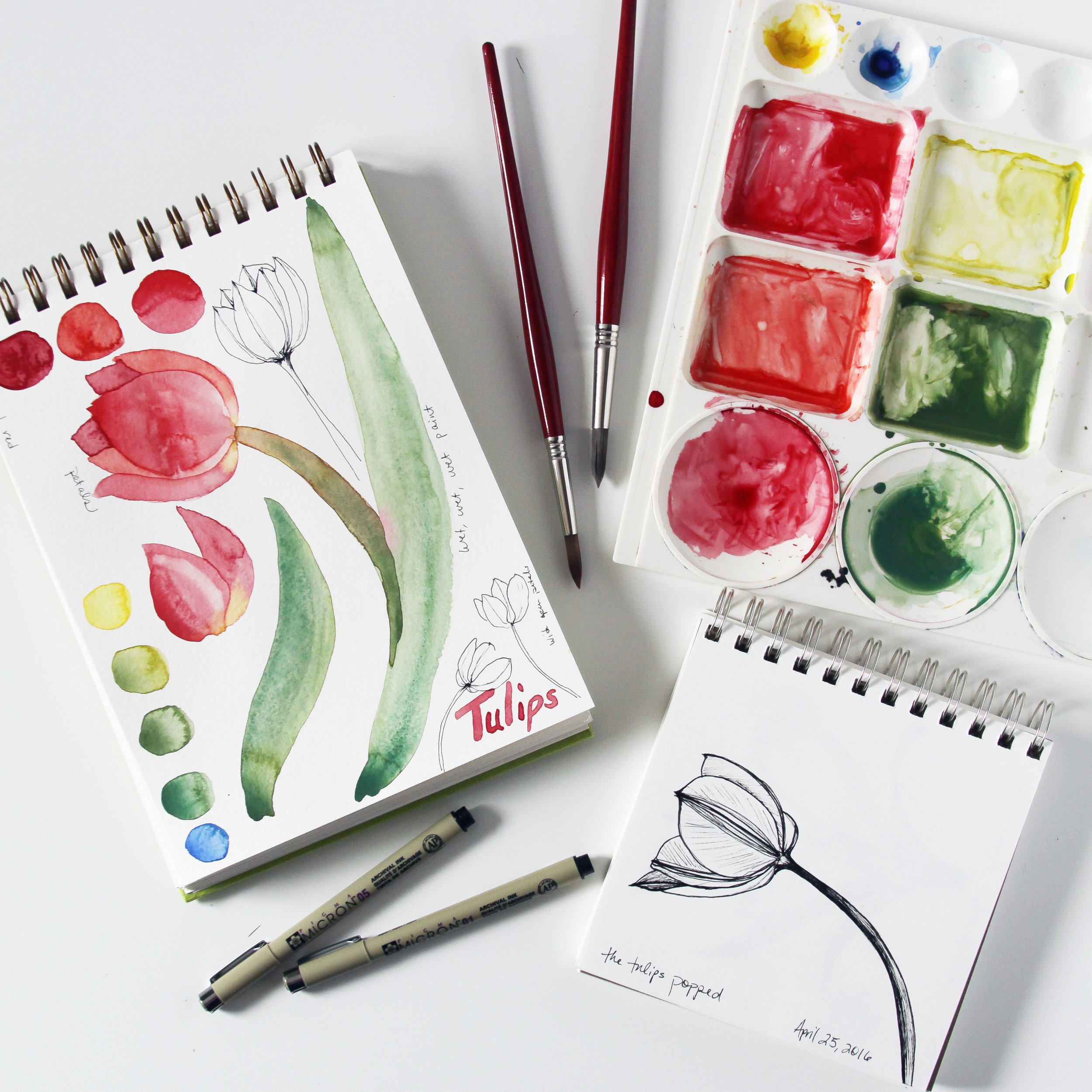 Watercolor Tulips in Anne Butera's Sketchbooks