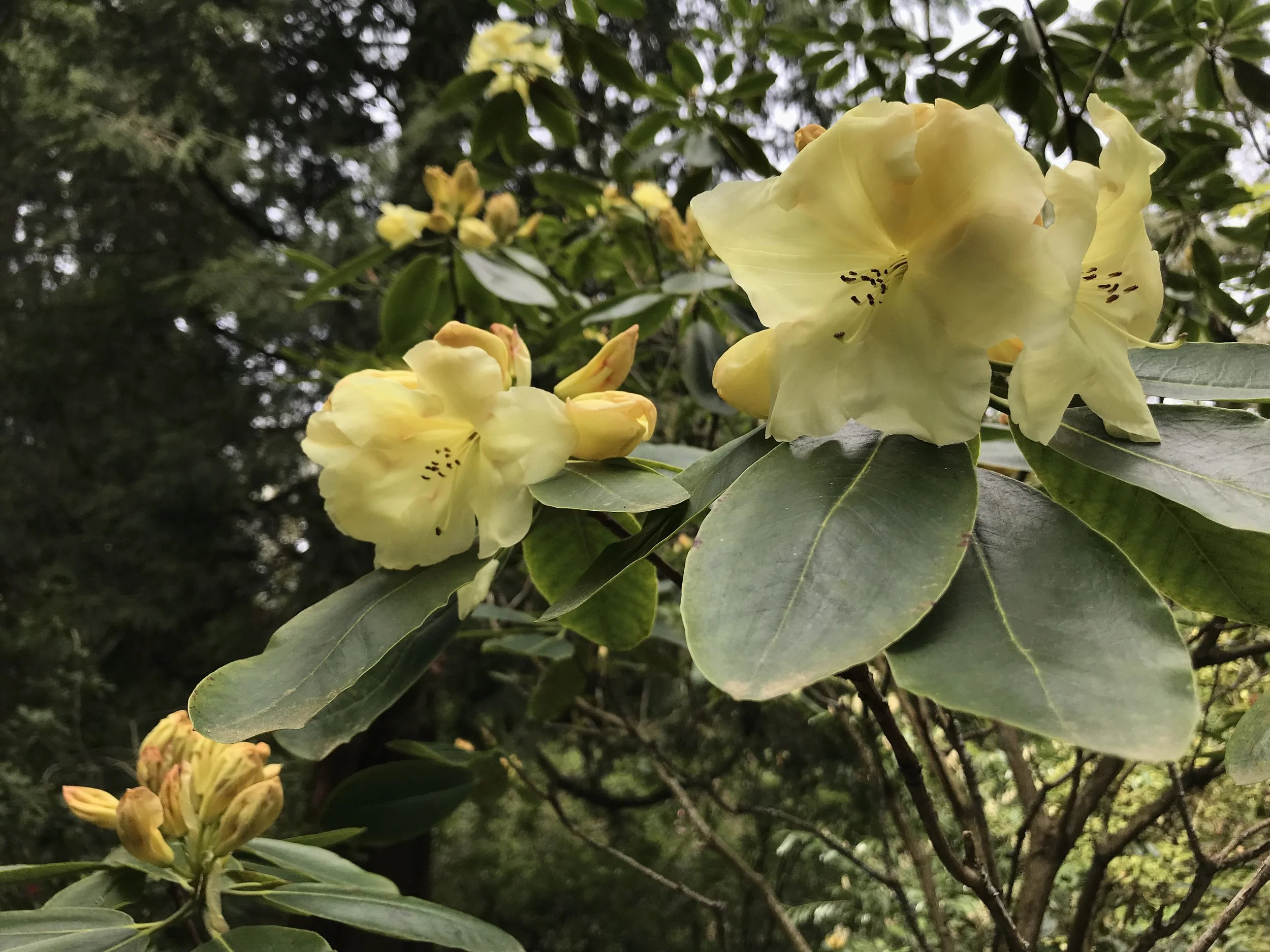 Taking a Little Break