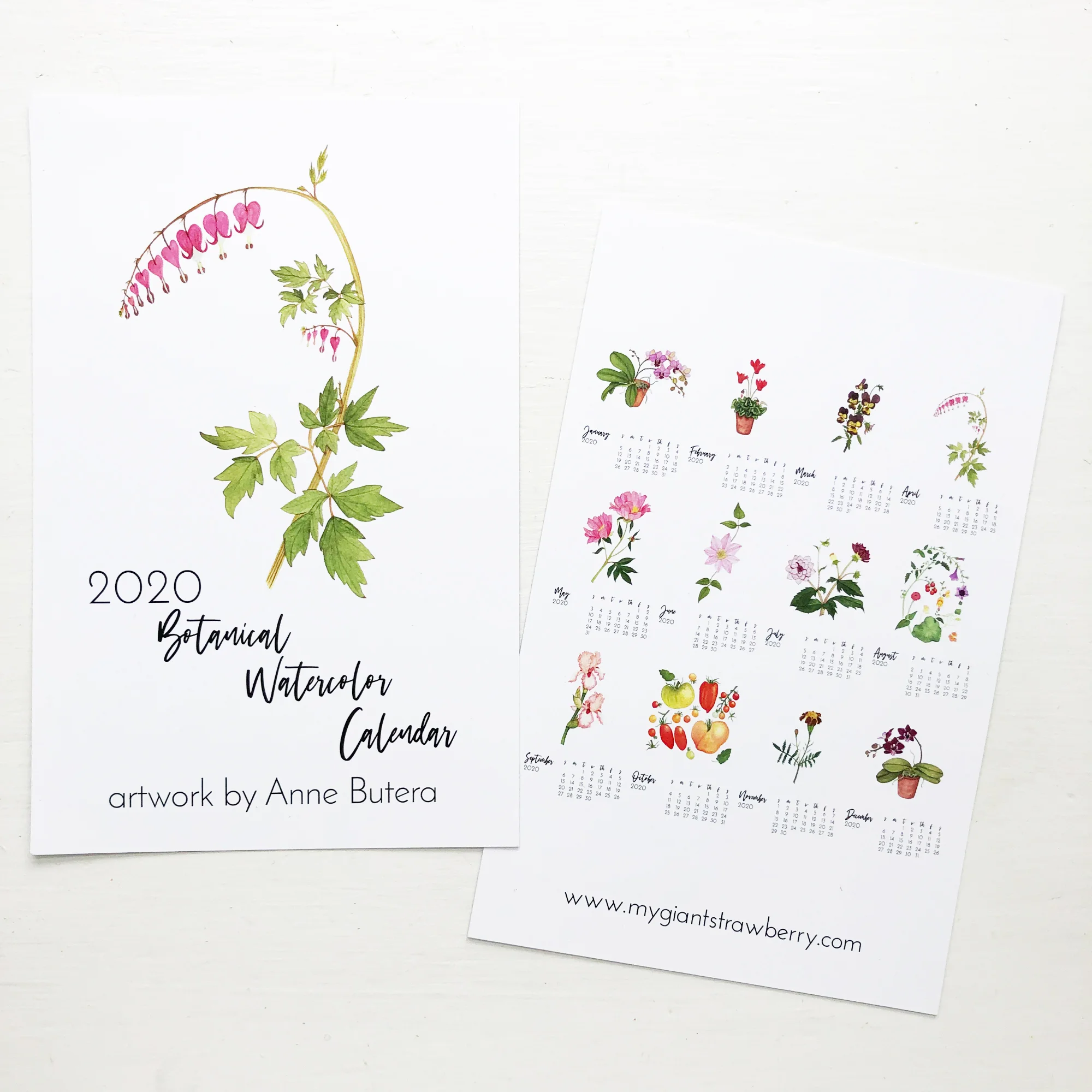 The Covers of the 2020 Botanical Watercolor Calendar by Anne Butera
