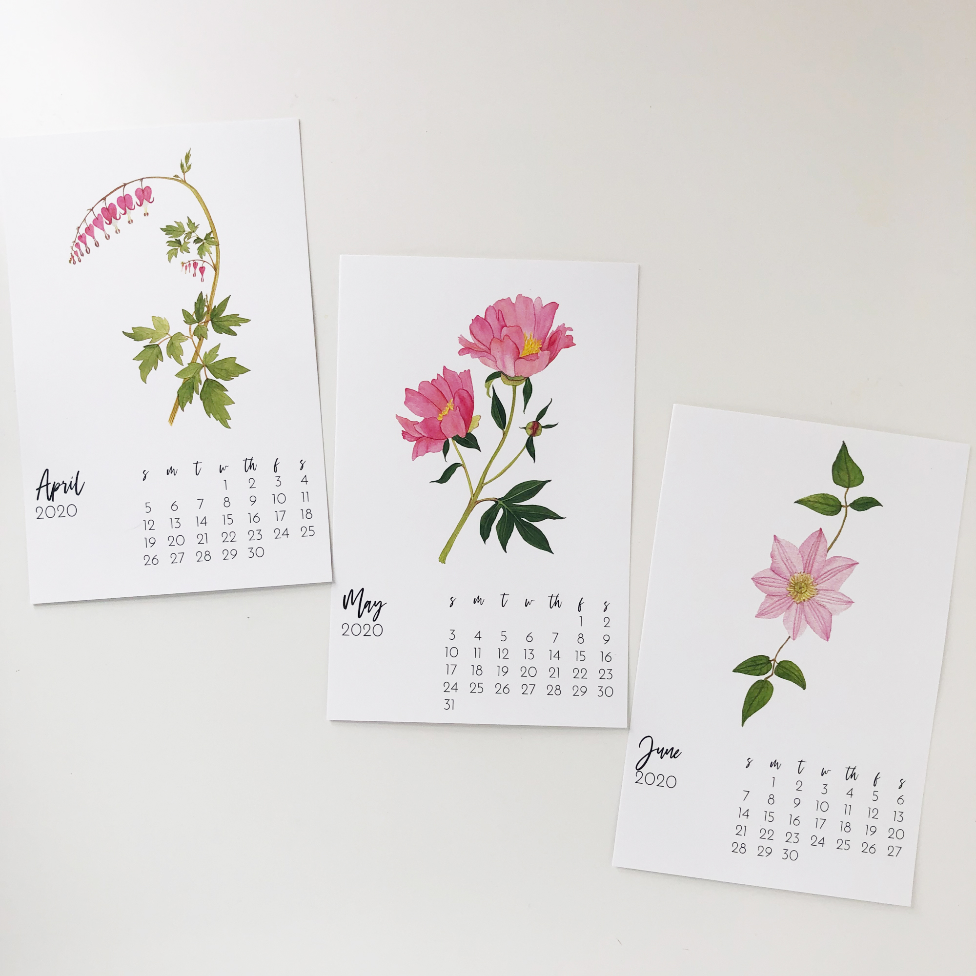 April May and June from the Botanical Watercolor Calendar by Anne Butera