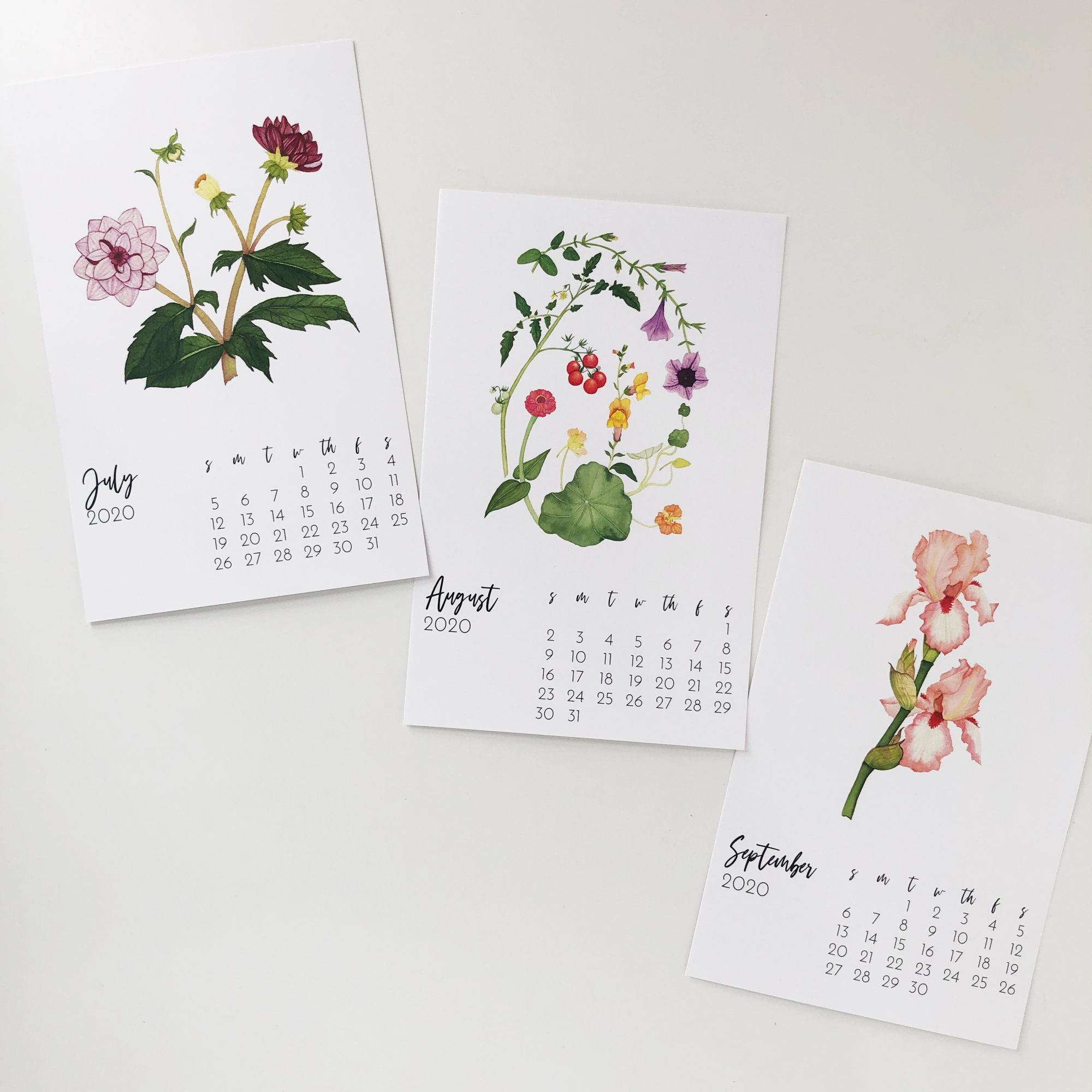 July August and September from the Botanical Watercolor Calendar by Anne Butera