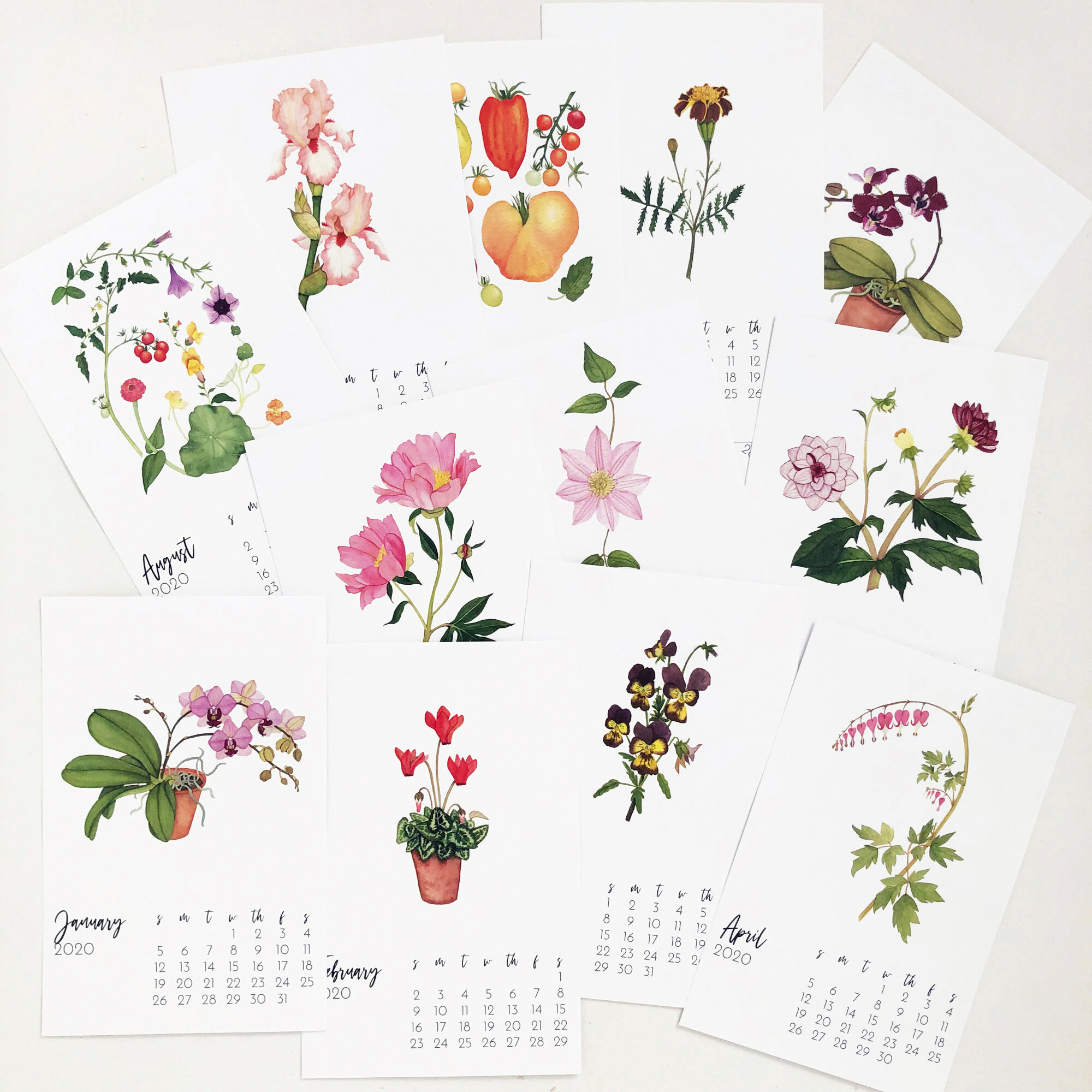 2020 Botanical Watercolor Calendar by Anne Butera