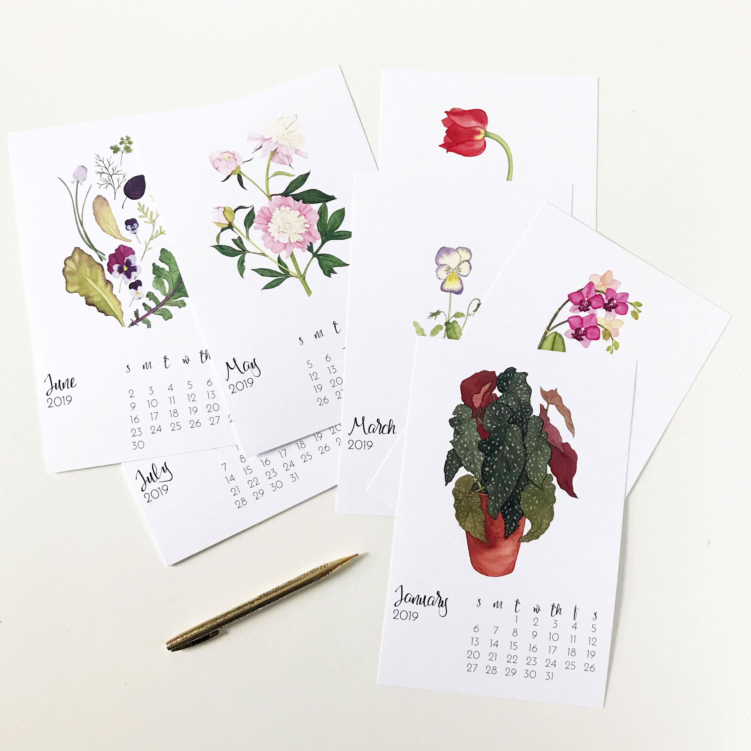 2019 Botanical Watercolor Desk Calendar by Anne Butera