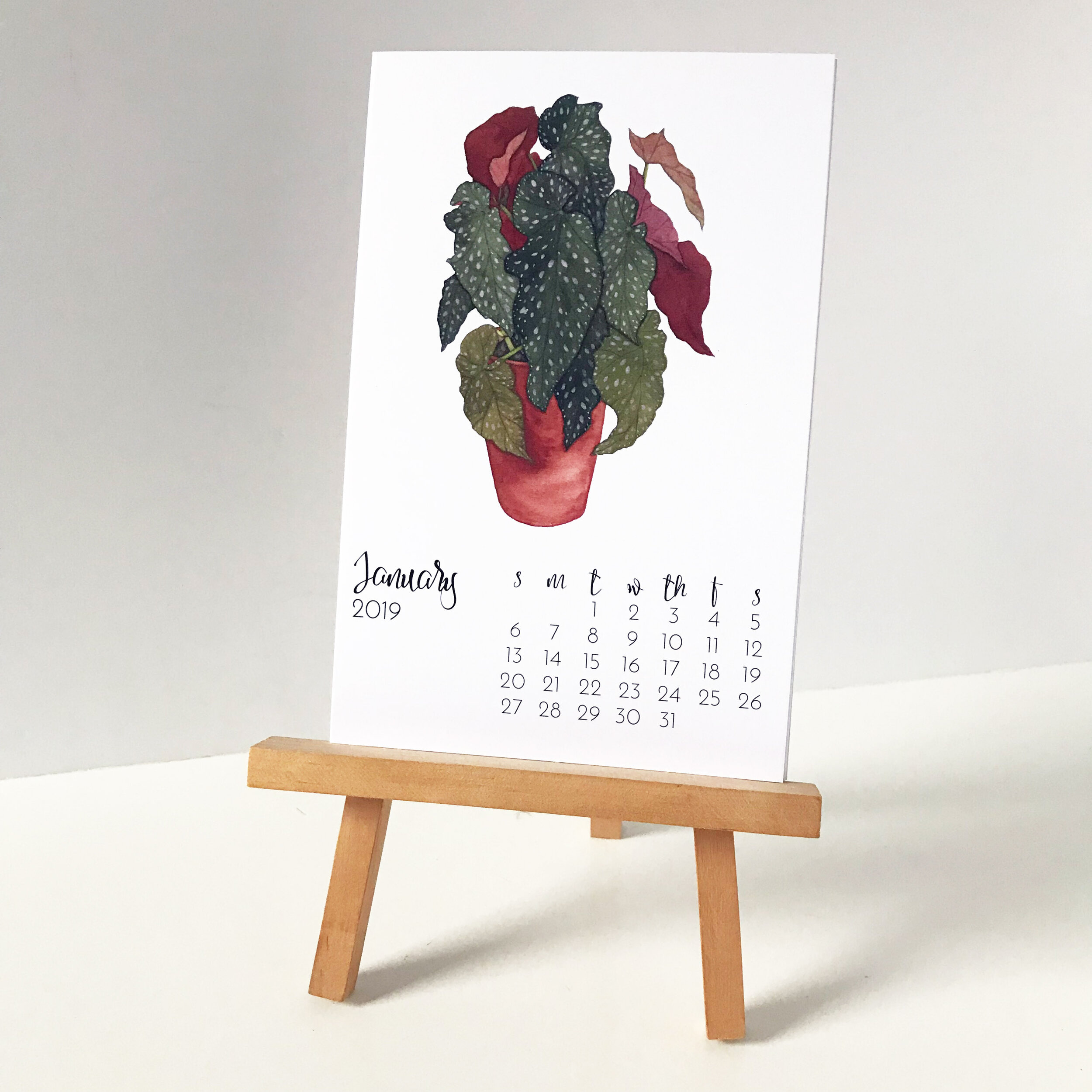 2019 Botanical Watercolor Desk Calendar by Anne Butera