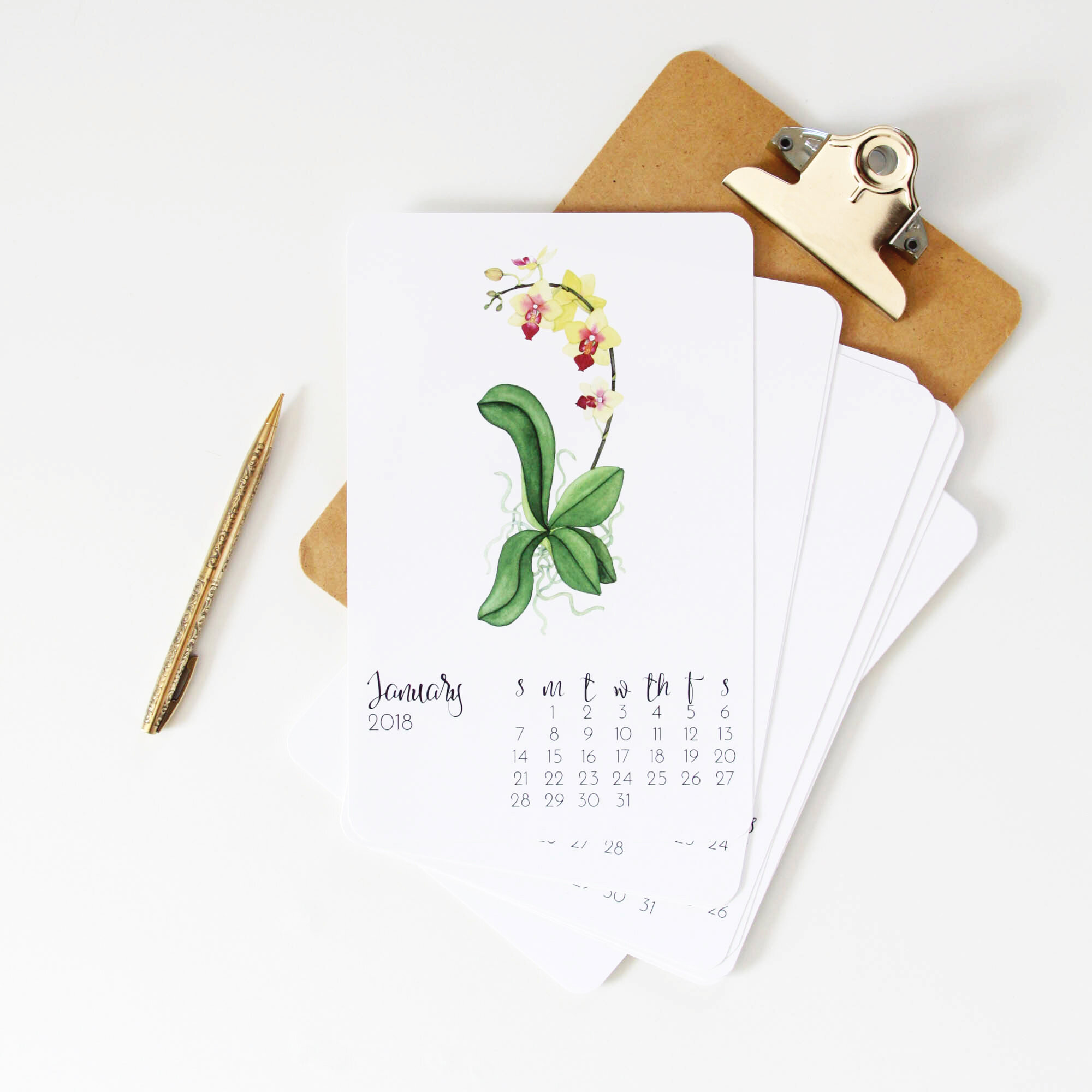 2018 Botanical Watercolor Calendar by Anne Butera