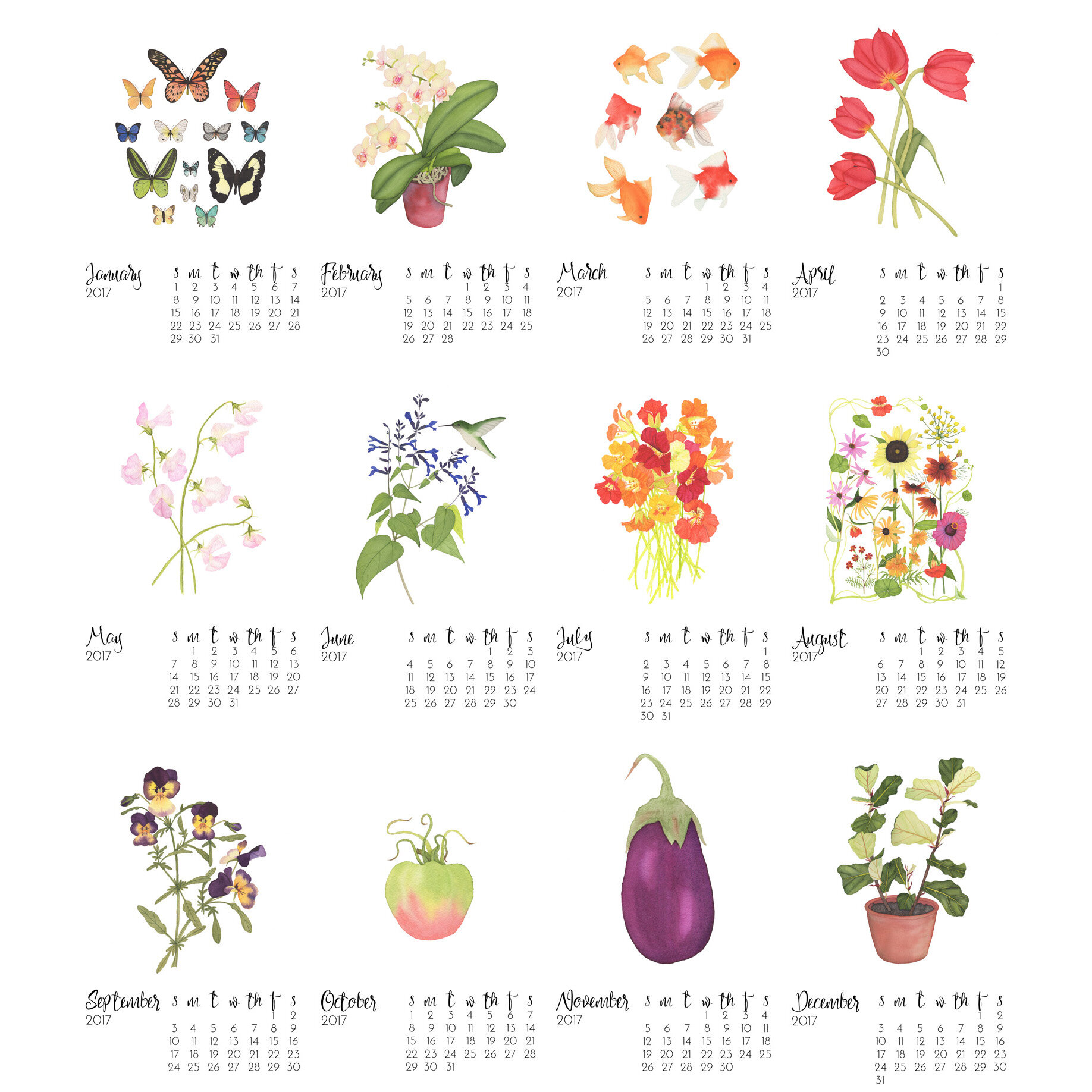 2017 Watercolor Calendar by Anne Butera