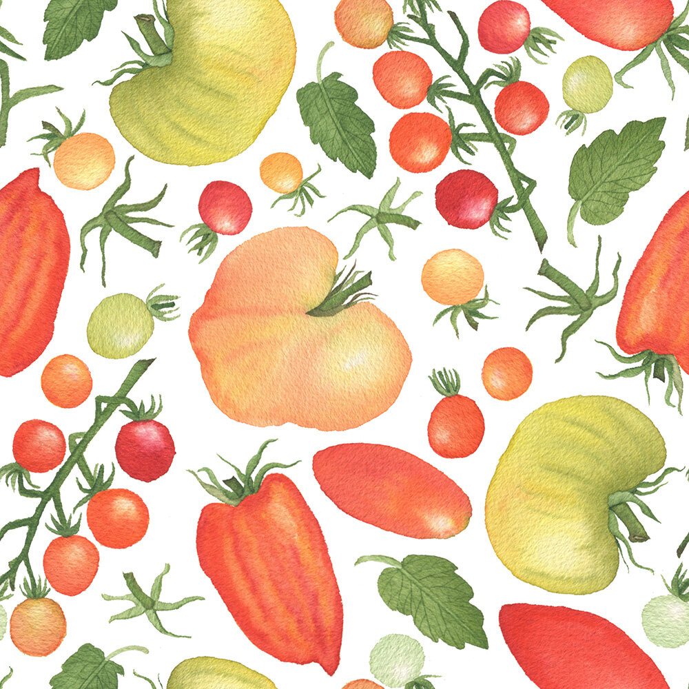 Watercolor Tomatoes Fabric Design by Anne Butera