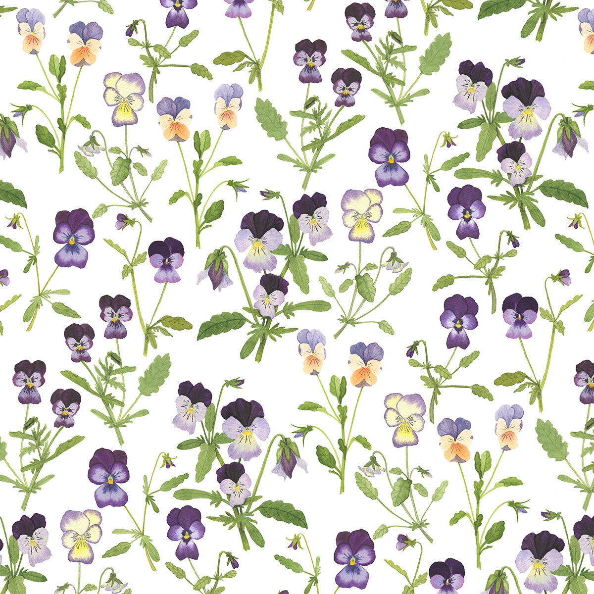 Watercolor Violas Fabric Design