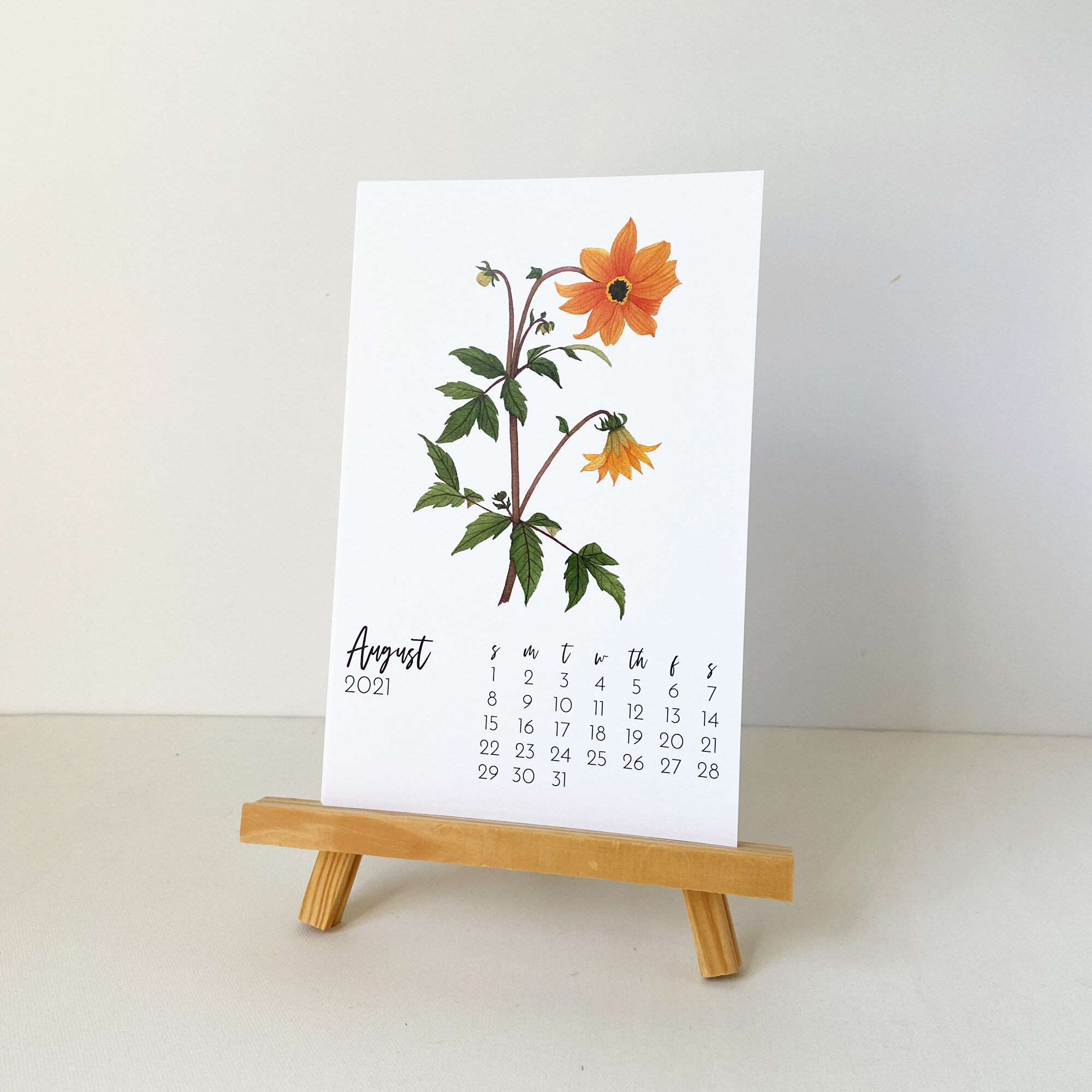 A Watercolor Orange Dahlia on the August Page of the 2021 Desk Calendar