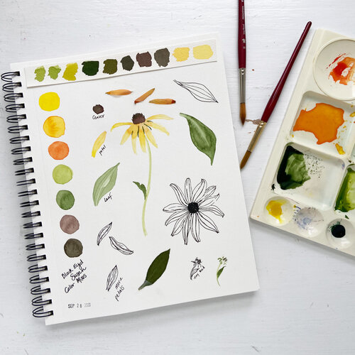 A Peek In My Sketchbook: Floral Sketch With Colored Pencils