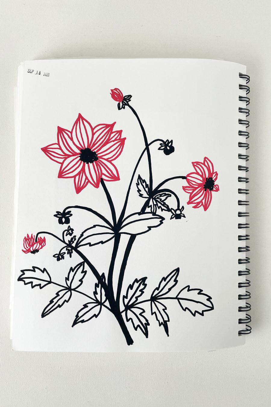 Sketchbook Kids Ideas: Practice and Create Imagine How to Drawing