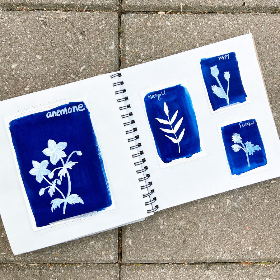  A spread of painted botanical images done in blue to mimic cyanotypes. 
