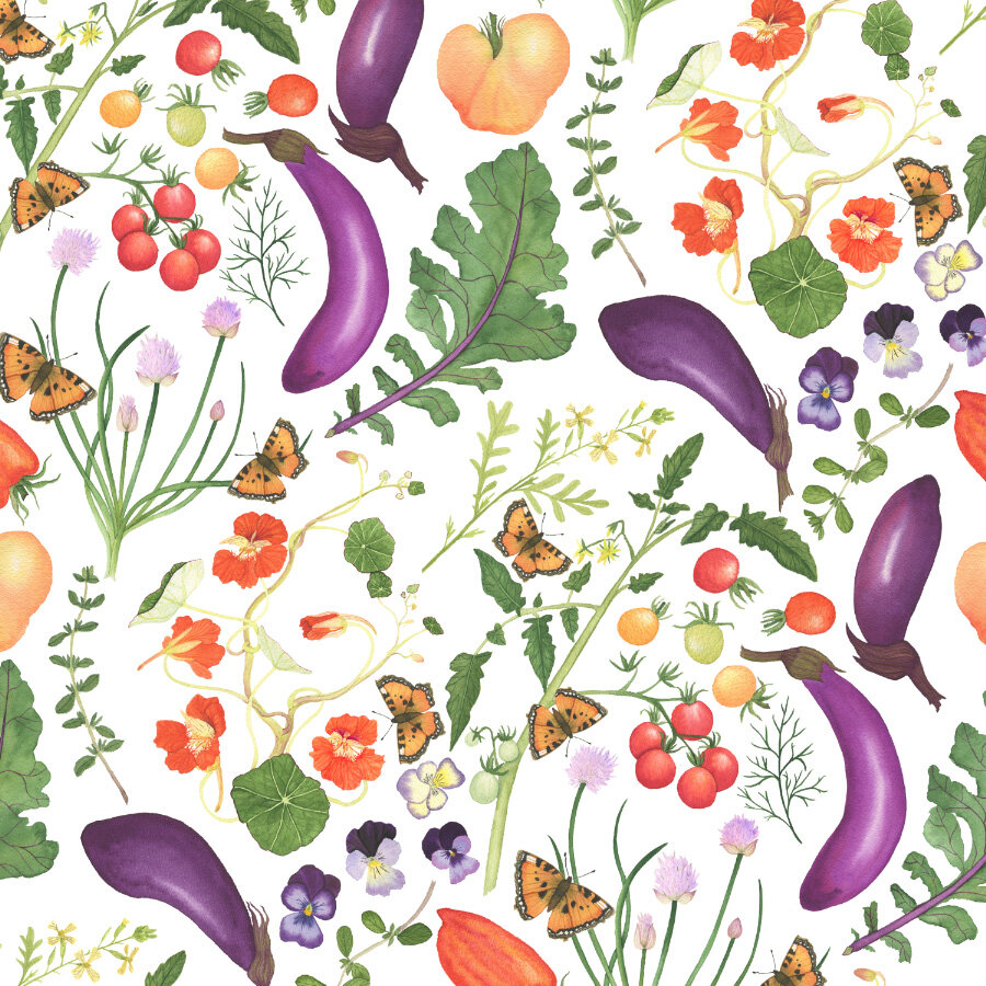  A watercolor design of garden herbs and veggies. 