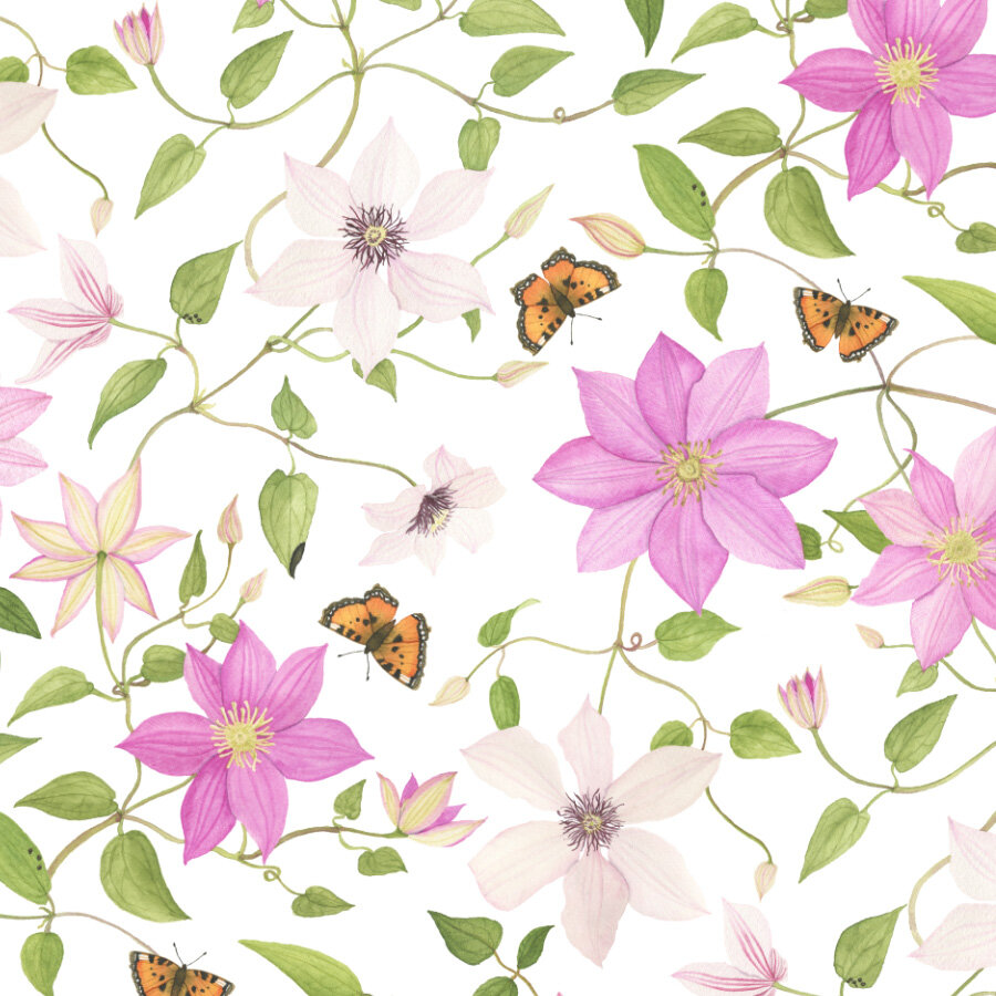  A surface pattern design of clematis and butterflies done in watercolor. 