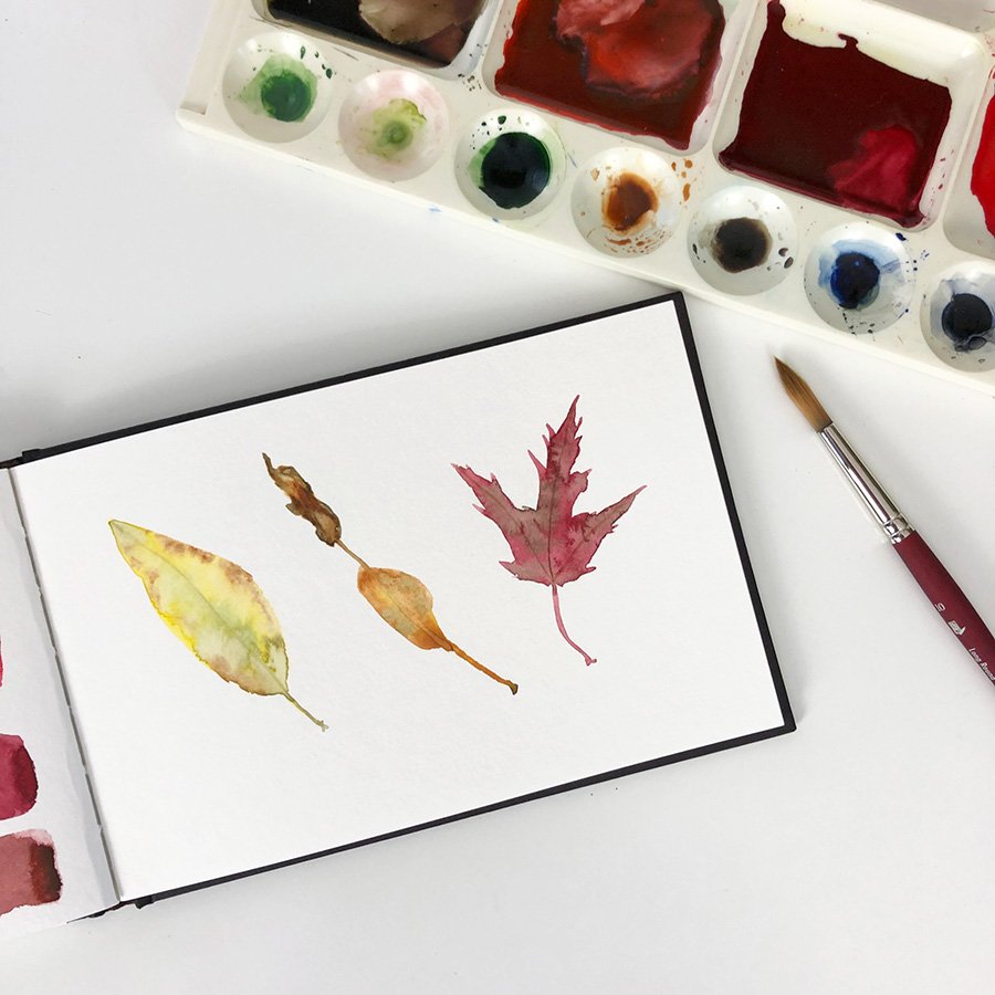 Celebrate Autumn in Your Botanical Sketchbook