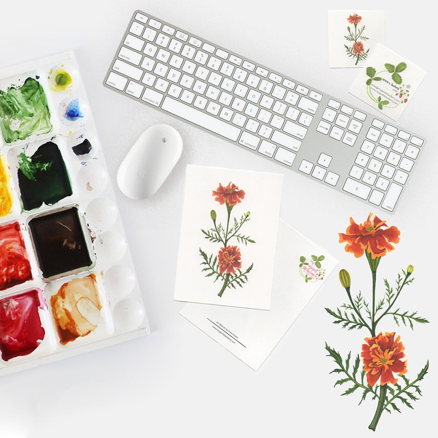 Digitize Your Watercolors: Getting Started With Adobe Photoshop