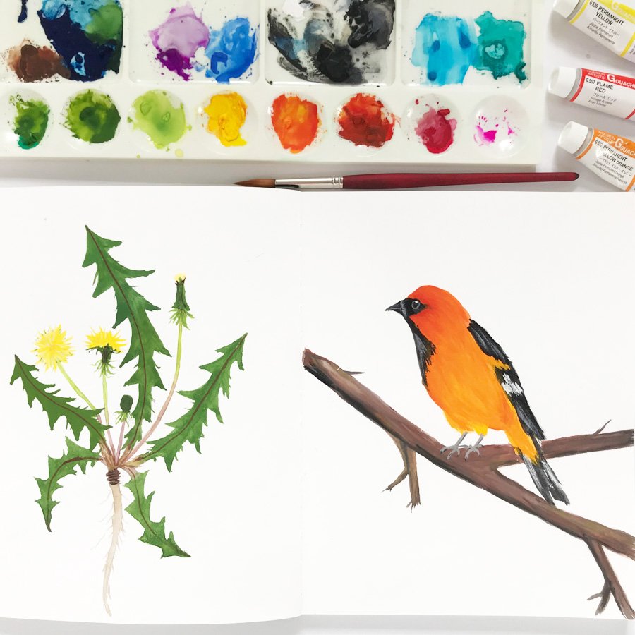 Getting Started with Gouache: Learn the Basics, Build Confidence